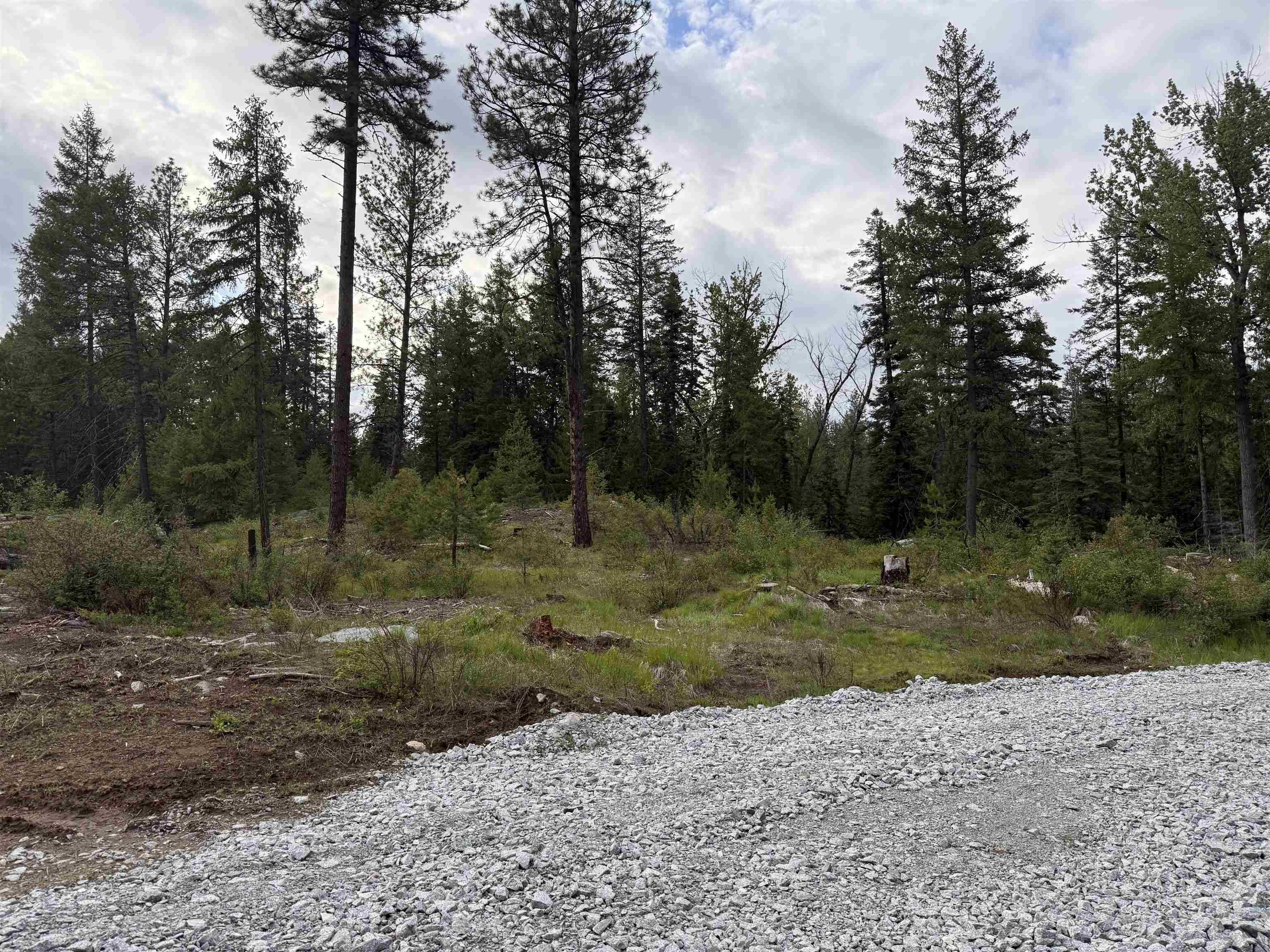 NKN Lot 2 Veit Rd, Newport, WA 99156