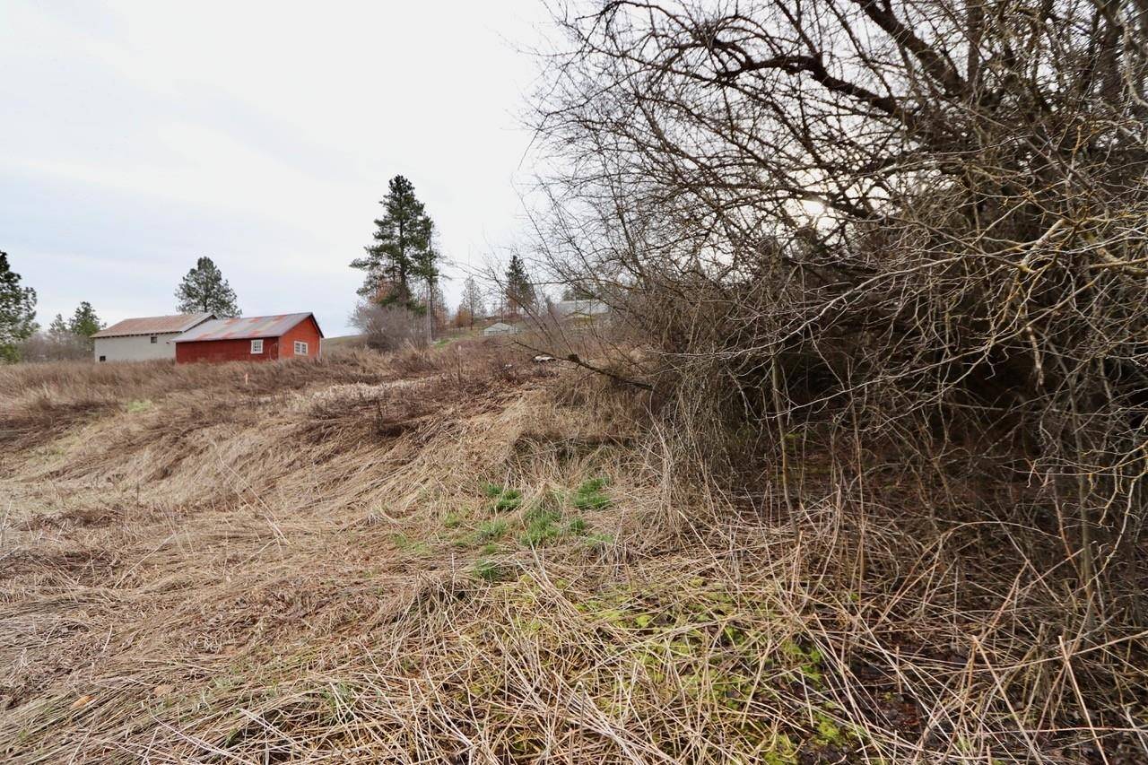 427 NE Stringham Rd, Rockford, WA 99030