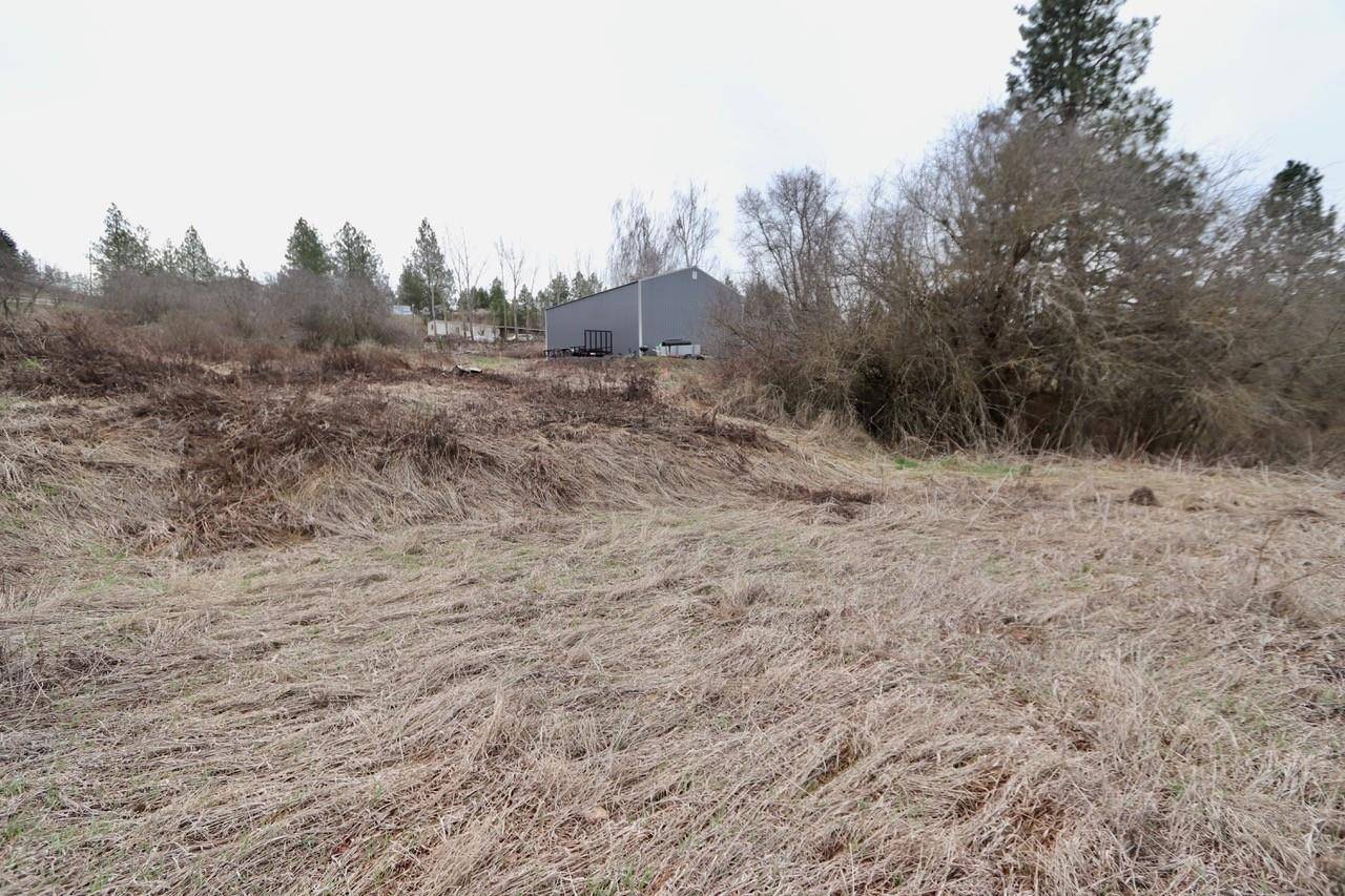 427 NE Stringham Rd, Rockford, WA 99030