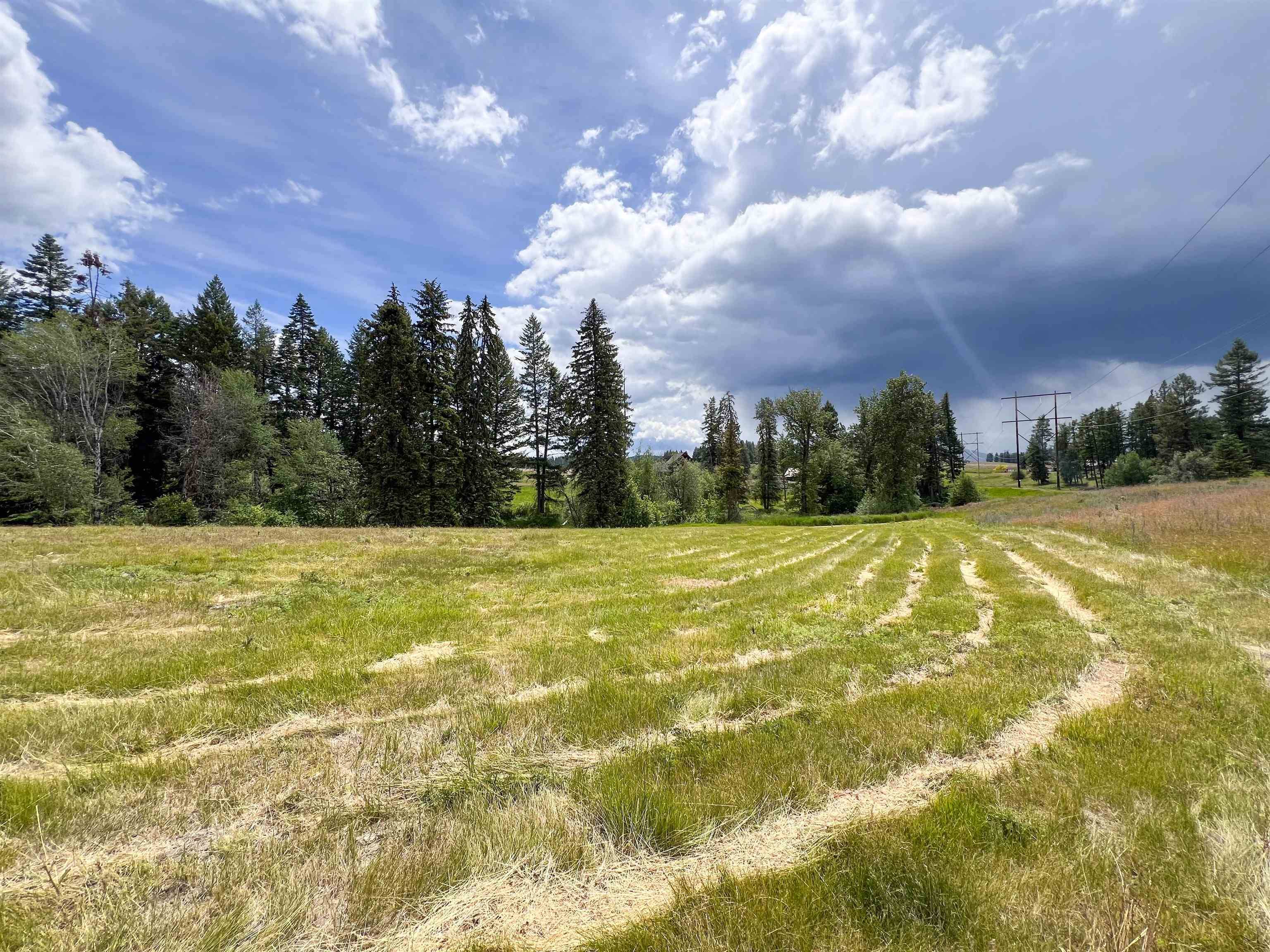 2082 Whitetail WAY, Colville, WA 99114