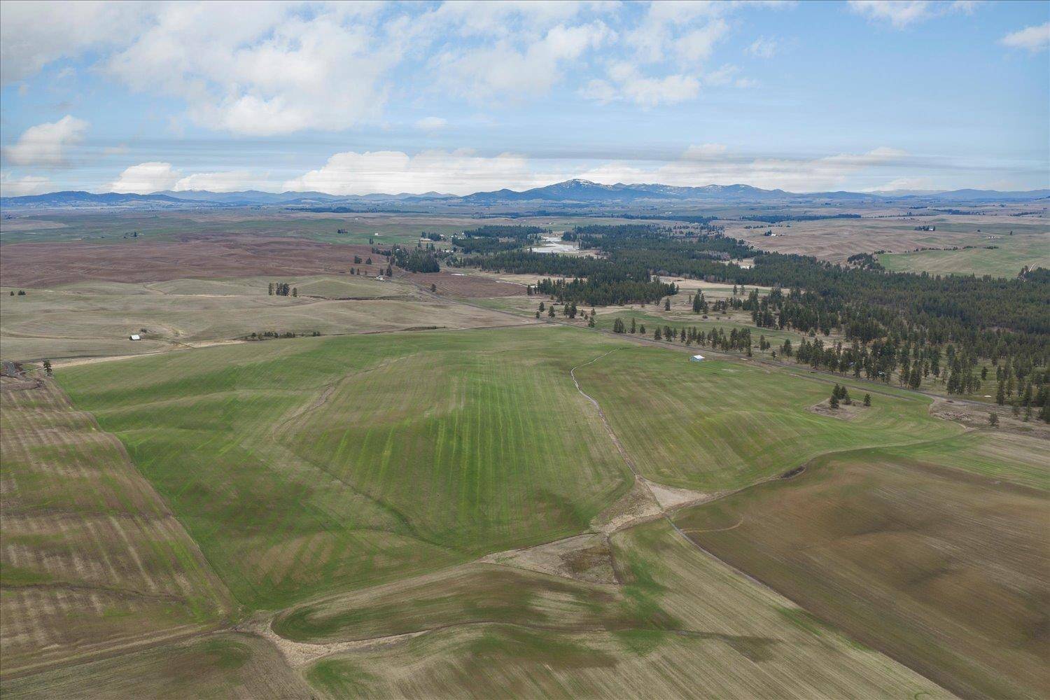 nka UNASSIGNED ADDRESS Rd, Spangle, WA 99031
