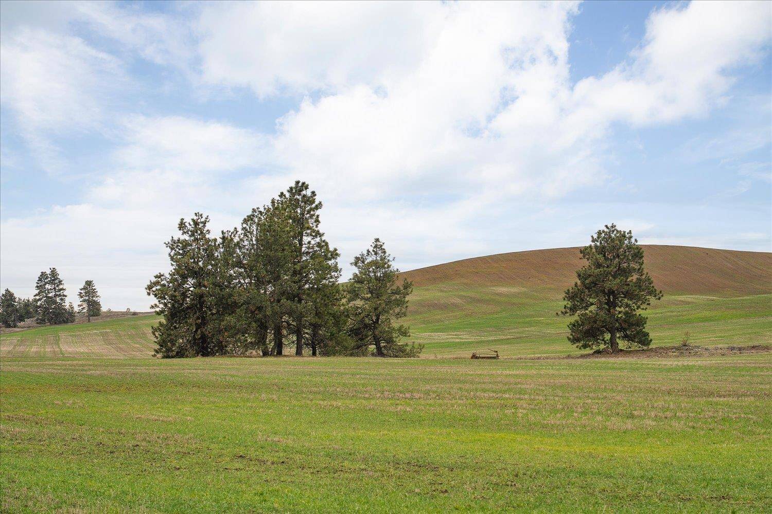 nka UNASSIGNED ADDRESS Rd, Spangle, WA 99031