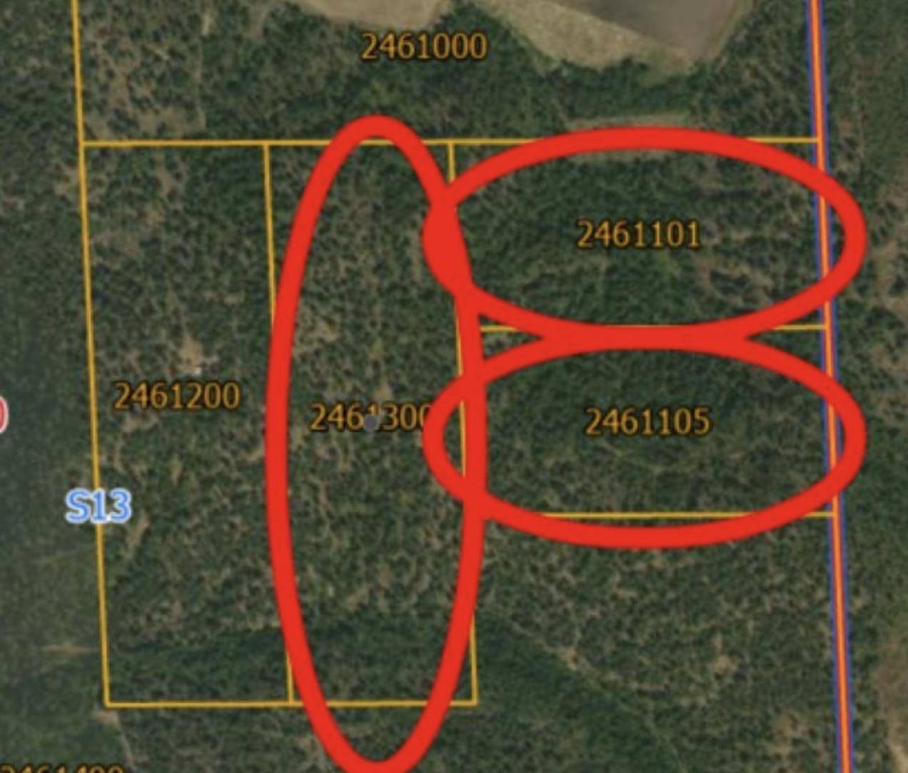 XXXX Dome Lane WAY, Springdale, WA 99148