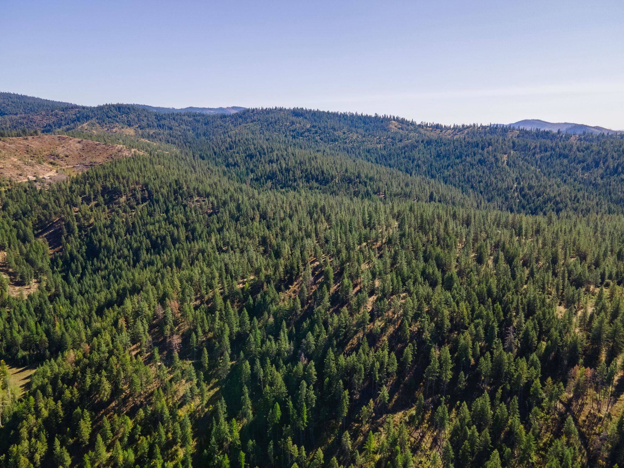 XXXX Dome Lane WAY, Springdale, WA 99148