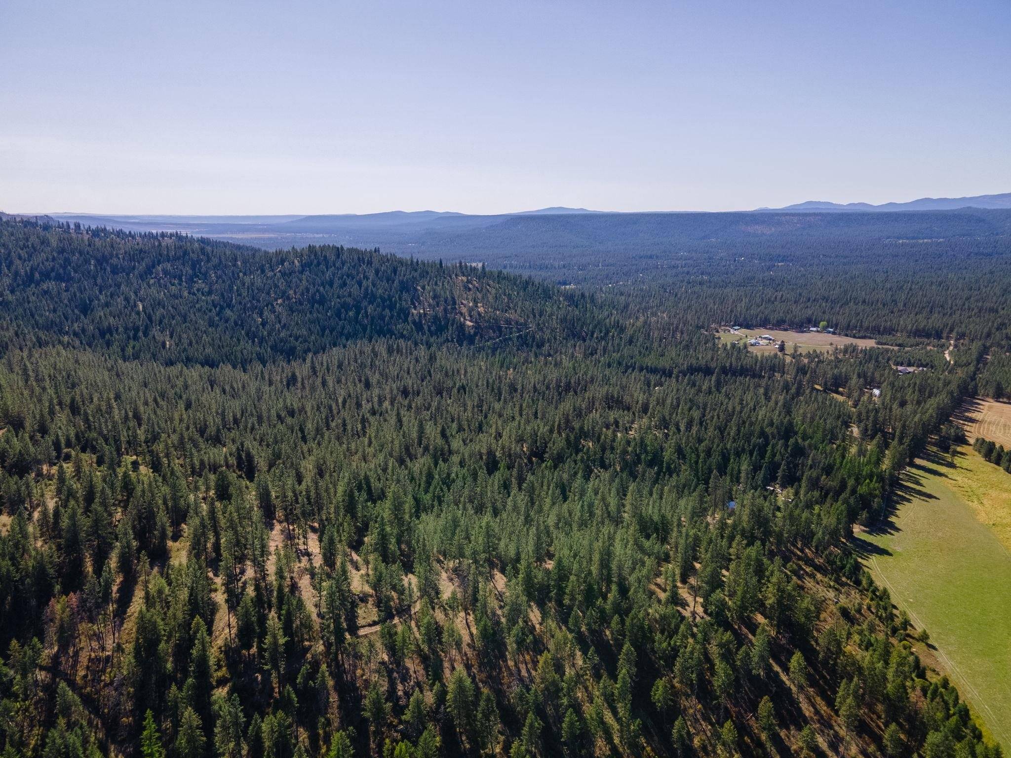 XXXX Dome Lane WAY, Springdale, WA 99148