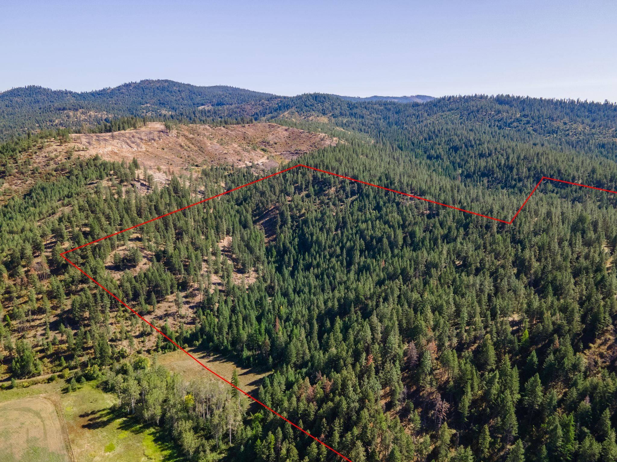 XXXX Dome Lane WAY, Springdale, WA 99148