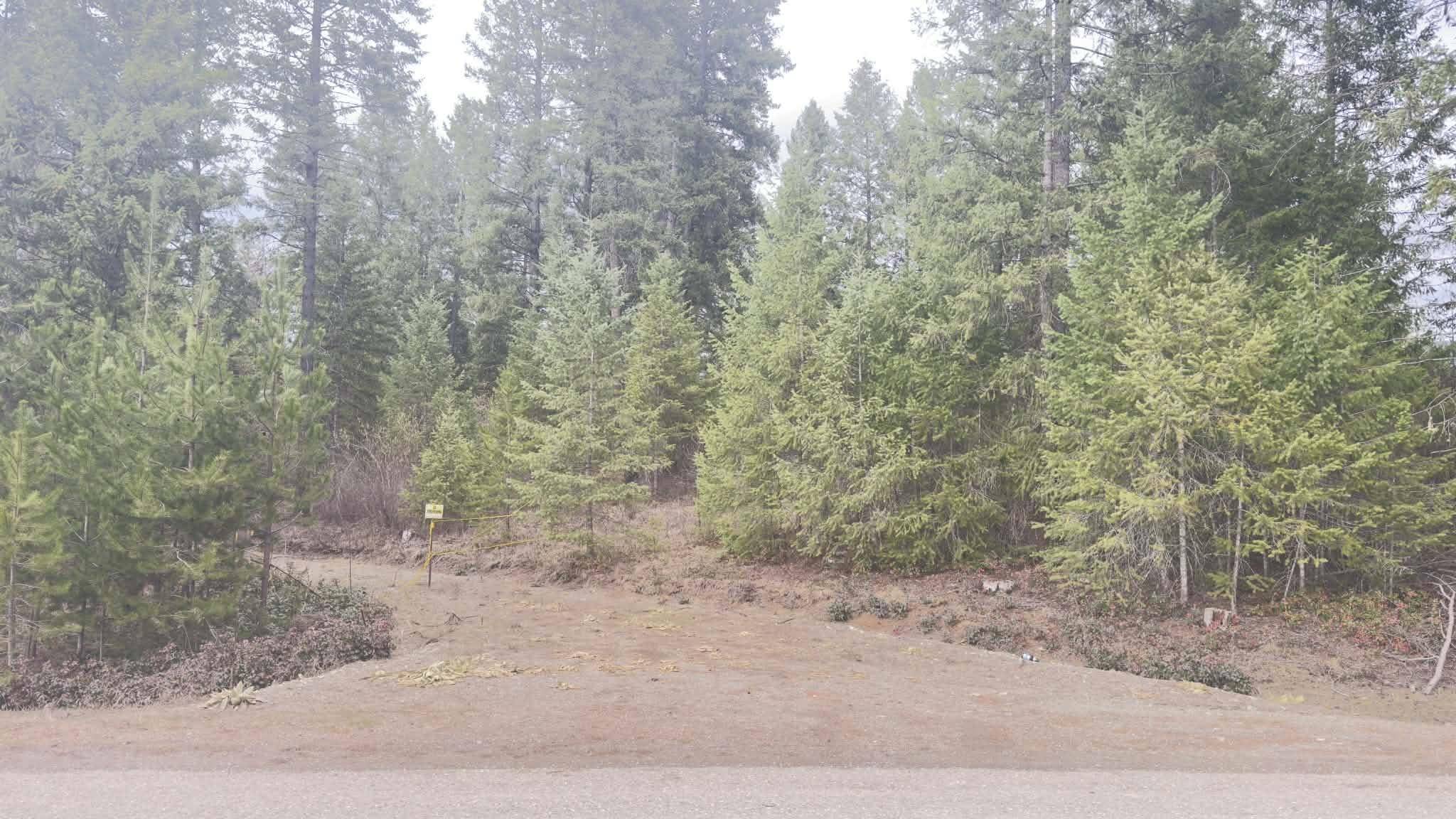 NKN Wilderness Ave, Ione, WA 99139