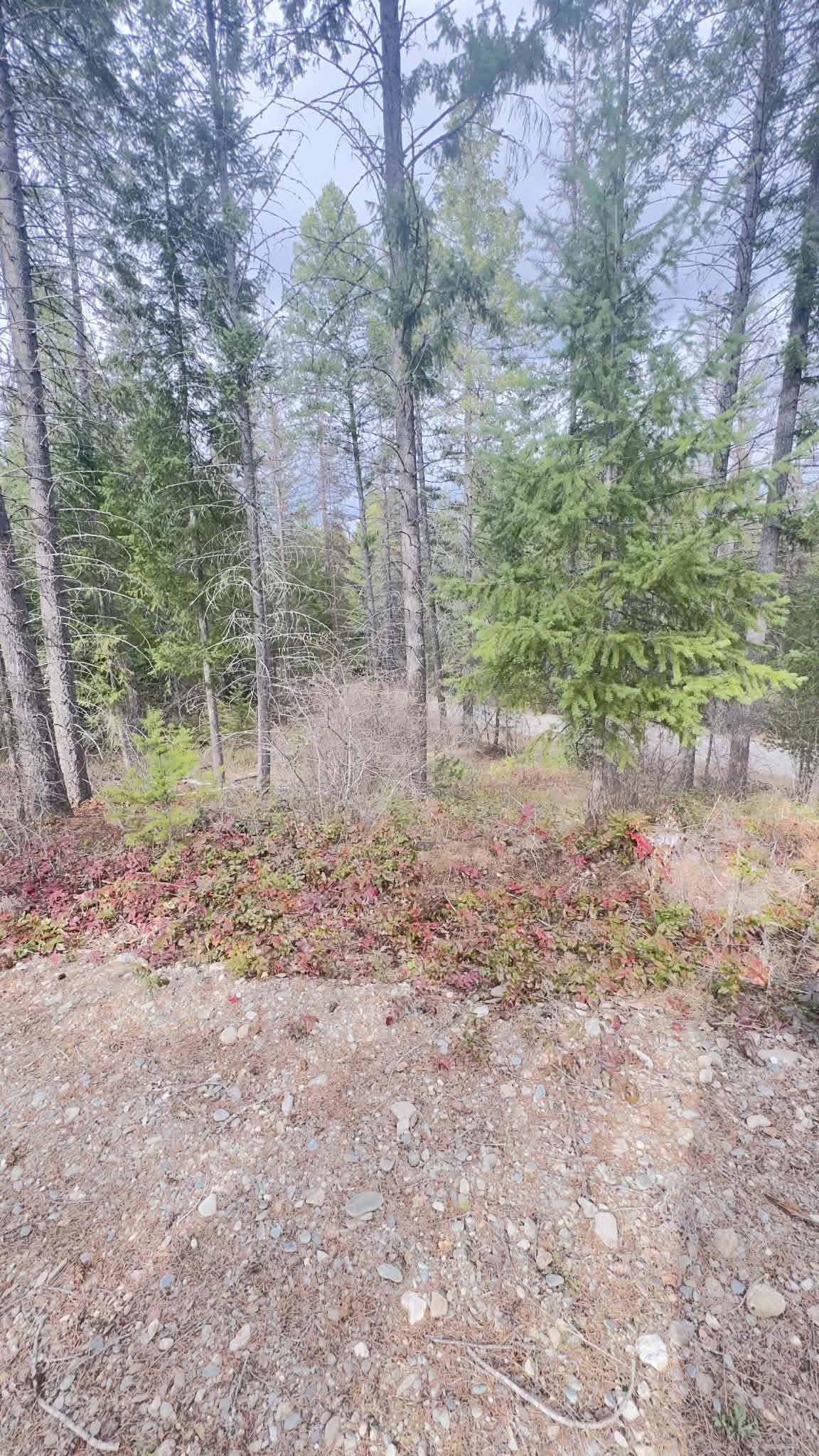 NKN Wilderness Ave, Ione, WA 99139