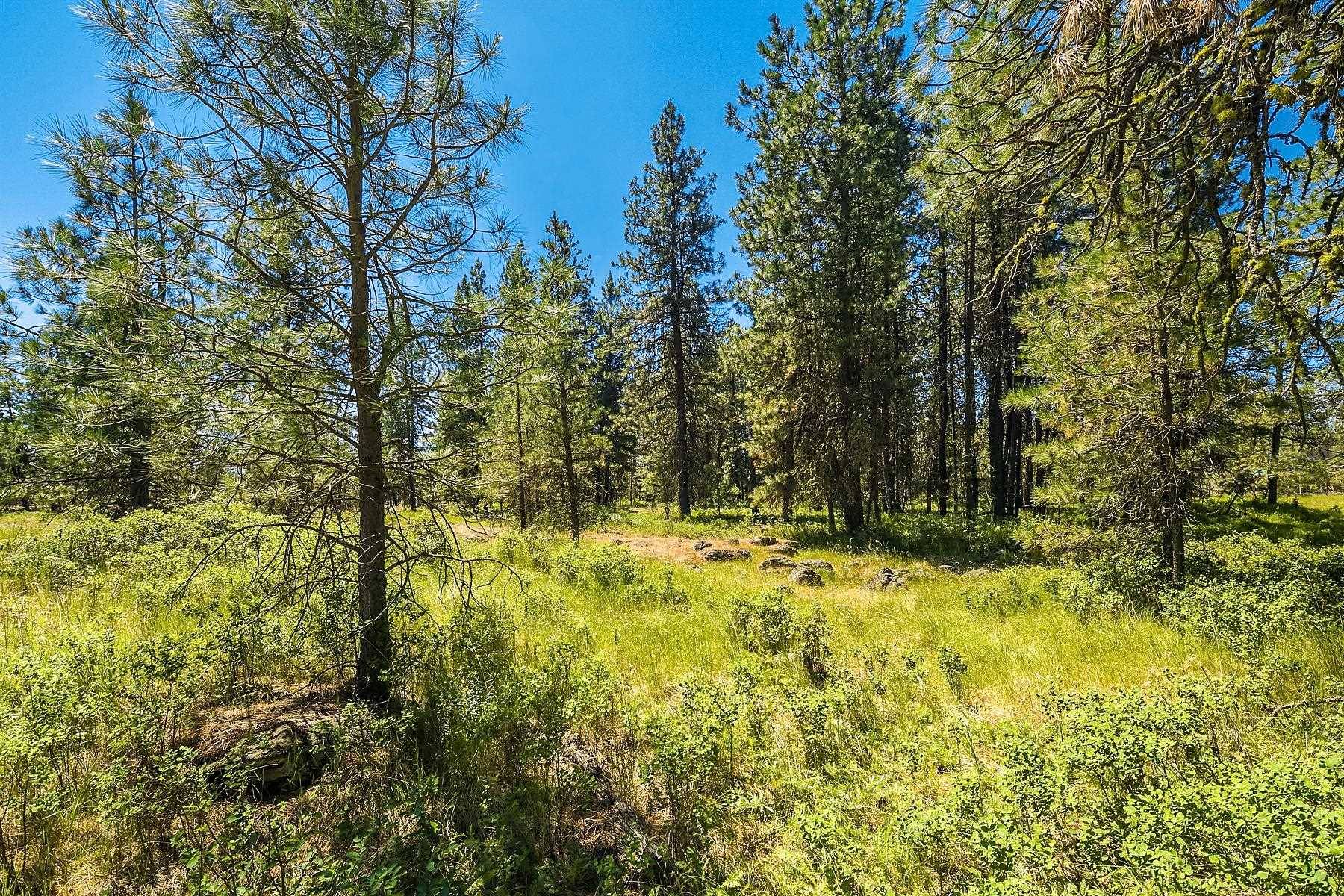 27816 W Drumheller Rd, Cheney, WA 99004