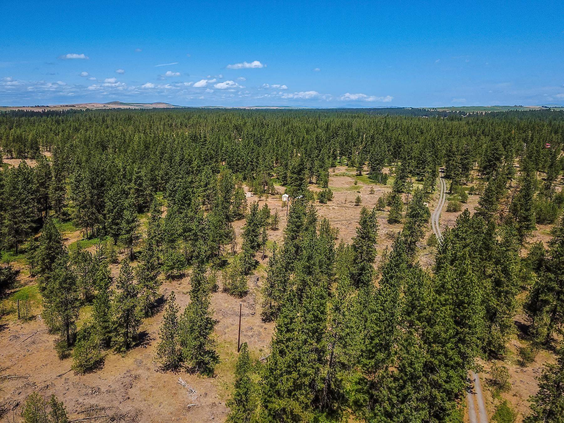 27816 W Drumheller Rd, Cheney, WA 99004