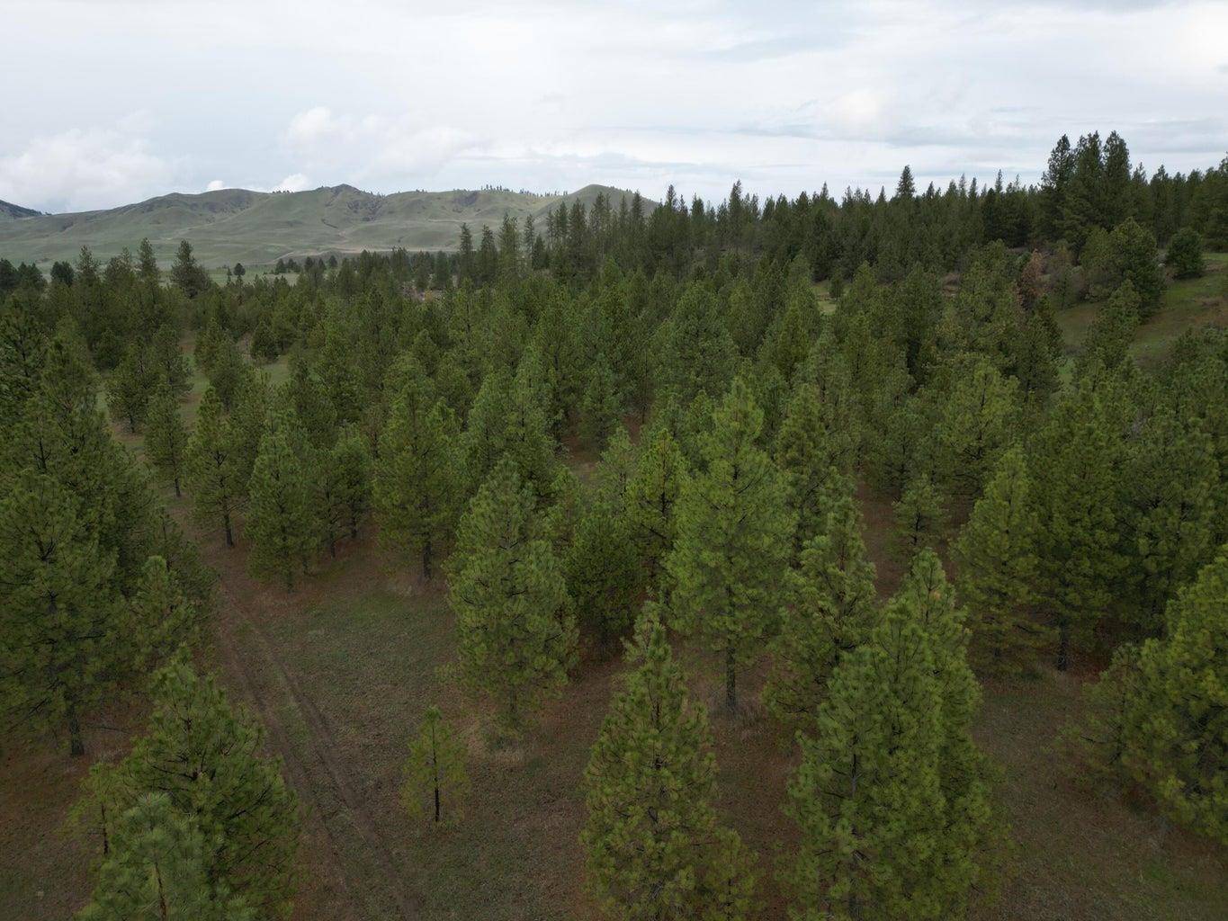 5XXX Newbill Rd, Fruitland, WA 99129-0000