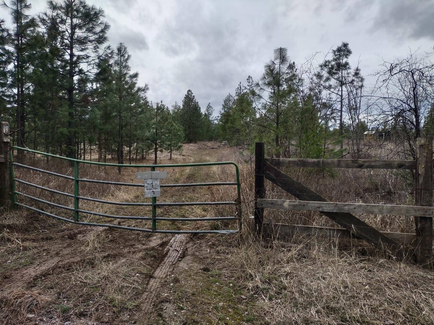 xx Lyons Hill Rd, Springdale, WA 99173