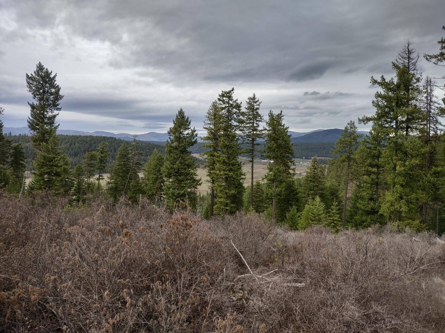 xx Lyons Hill Rd, Springdale, WA 99173
