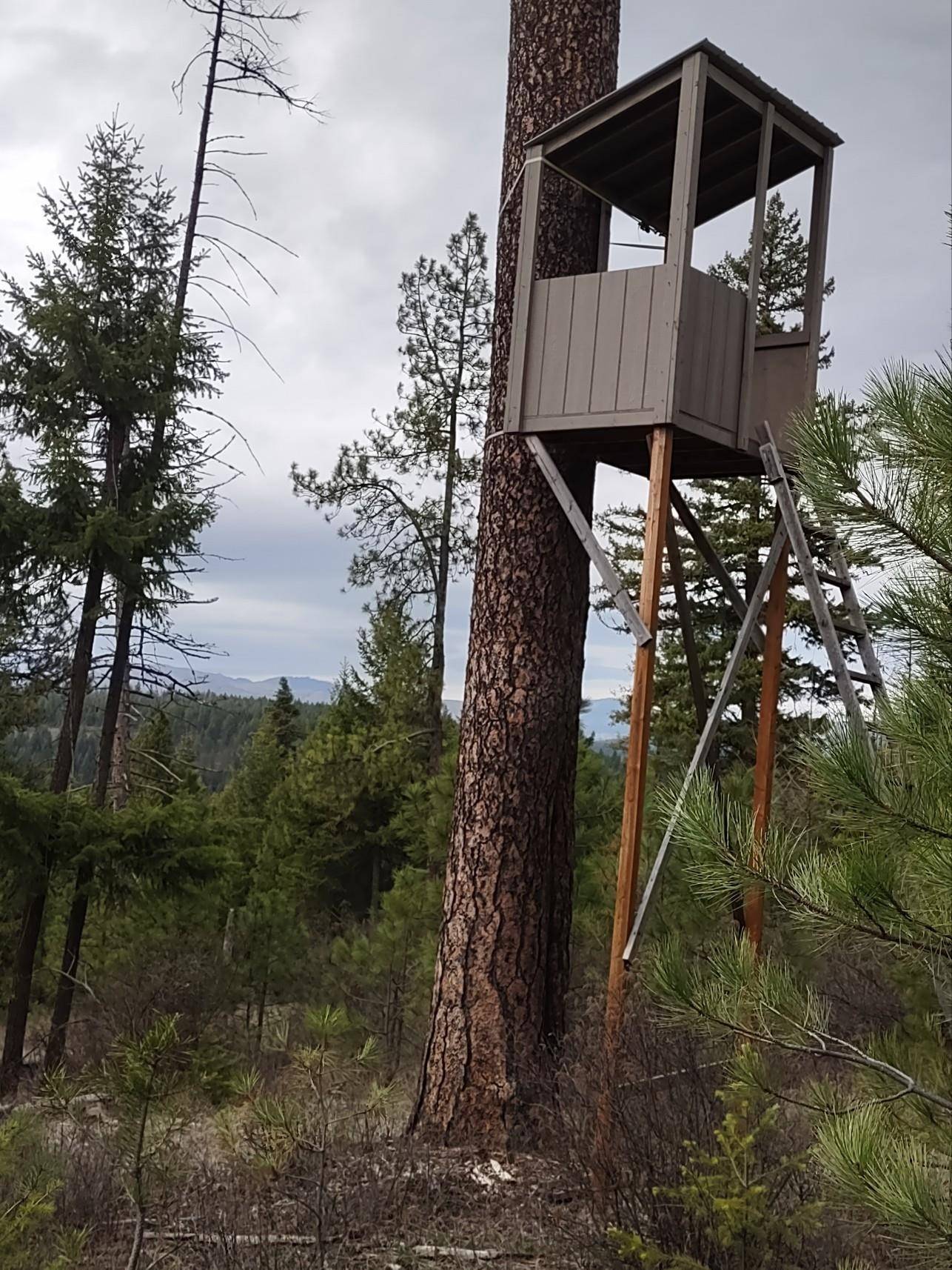 xx Lyons Hill Rd, Springdale, WA 99173