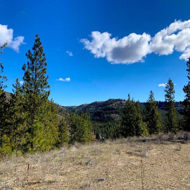 Lot 2 Scenic Short Plat Dr, Davenport, WA 99122