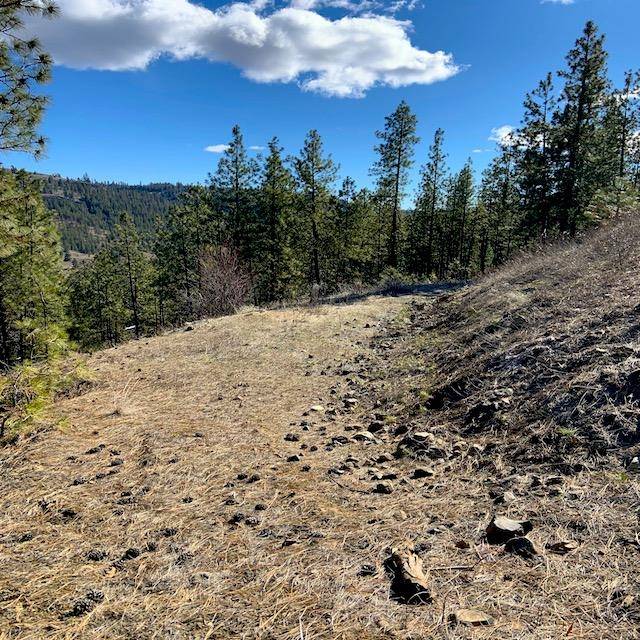 Lot 2 Scenic Short Plat Dr, Davenport, WA 99122
