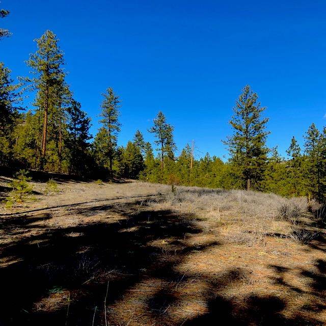 Lot 2 Scenic Short Plat Dr, Davenport, WA 99122