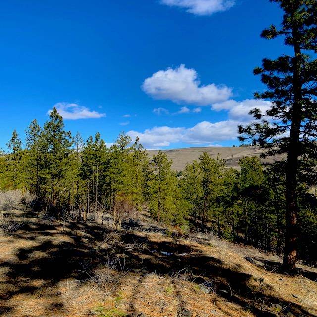 Lot 2 Scenic Short Plat Dr, Davenport, WA 99122