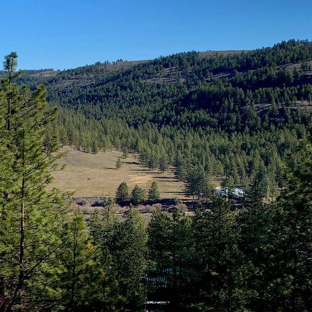 Lot 2 Scenic Short Plat Dr, Davenport, WA 99122
