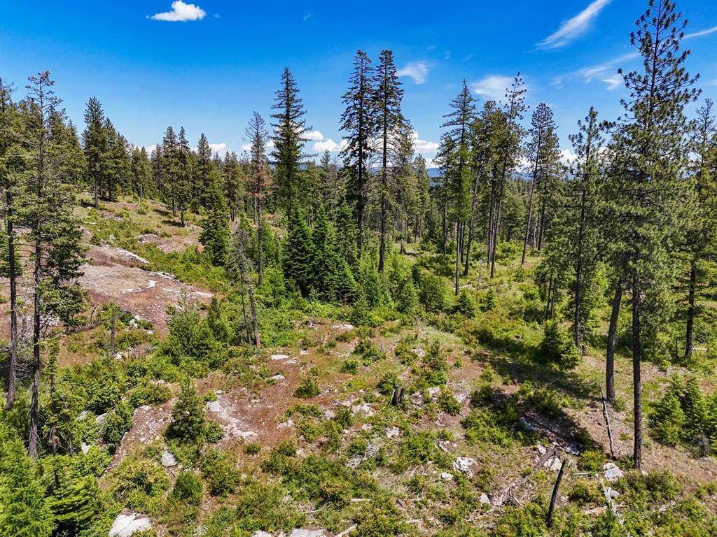 54XX Northshore Diamond Lake Rd Rd, Newport, WA 99156
