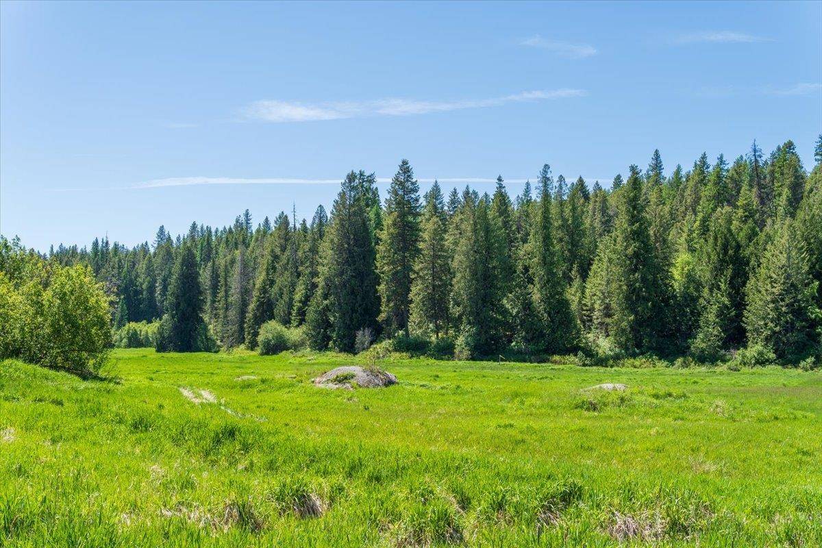 XXXX Hwy 211 #Lot 1 & 2, Newport, WA 99156