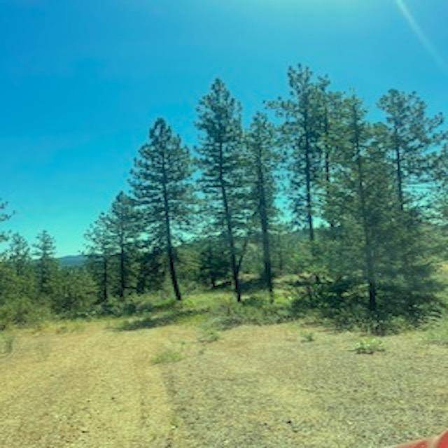 Lot 27 Bighorn Dr, Davenport, WA 99122