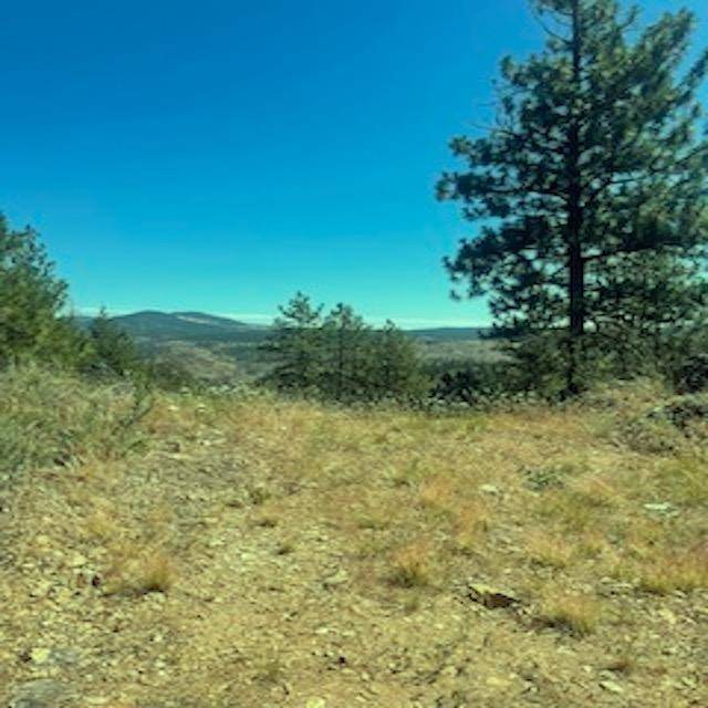 Lot 27 Bighorn Dr, Davenport, WA 99122