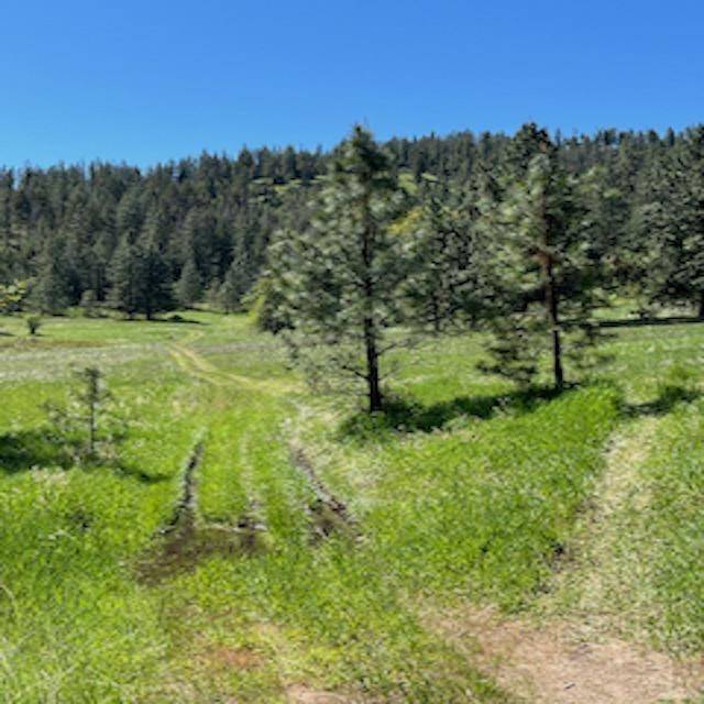 Lot 27 Bighorn Dr, Davenport, WA 99122