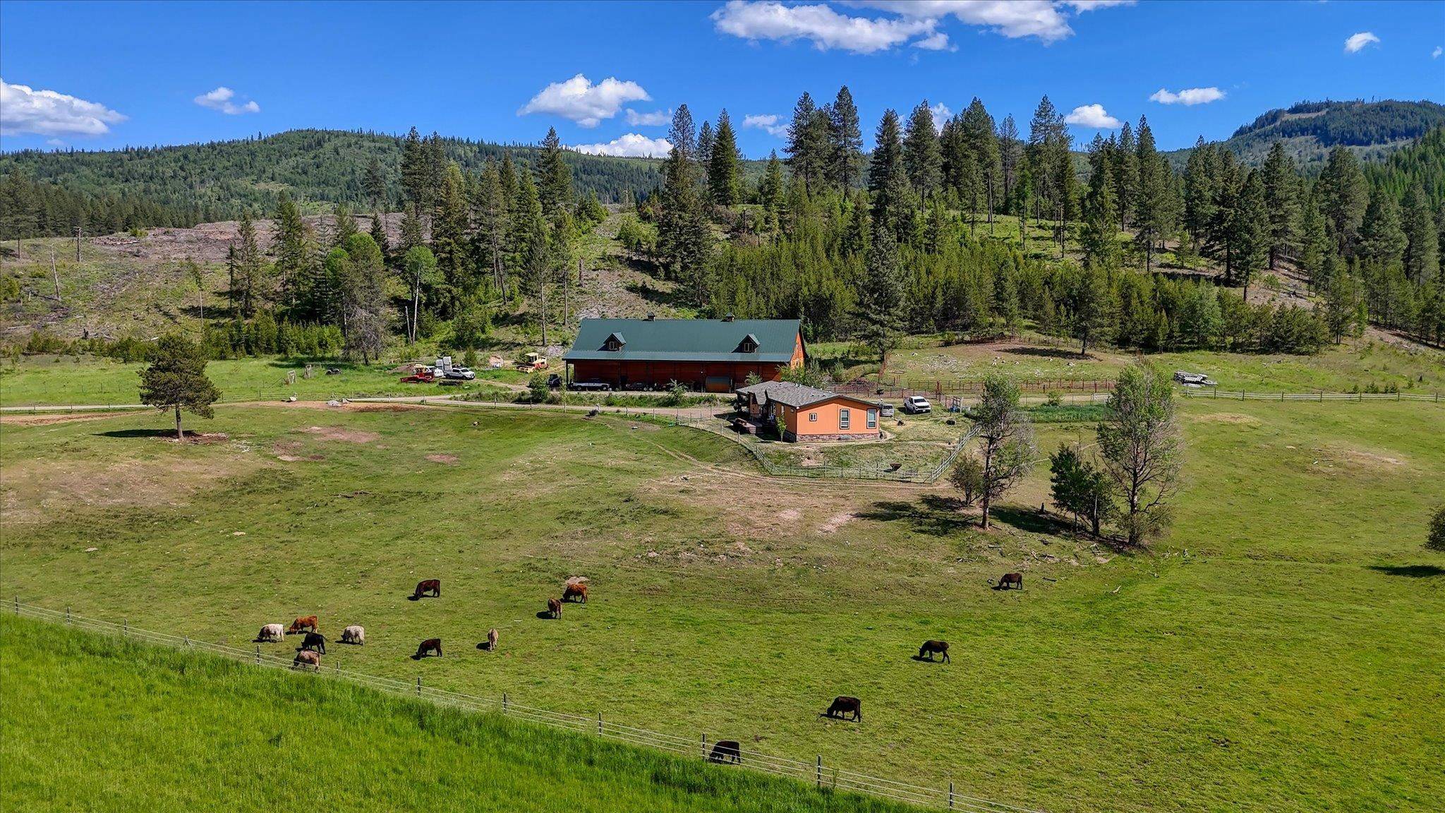 27120 E Blanchard LOOP, Newport, WA 99156