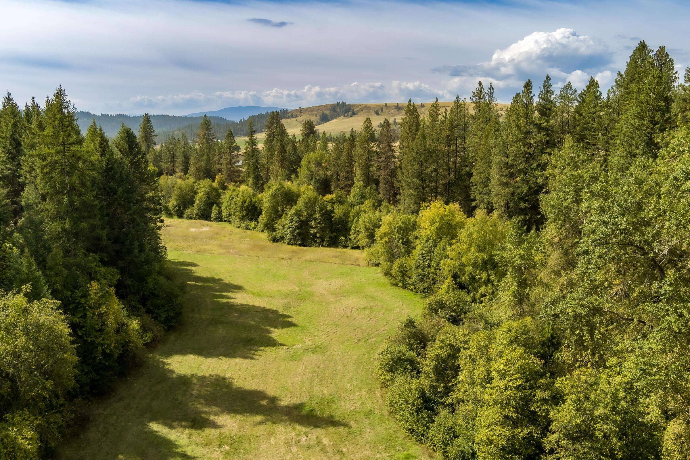 1508 Dead Medicine Rd, Evans, WA 99126