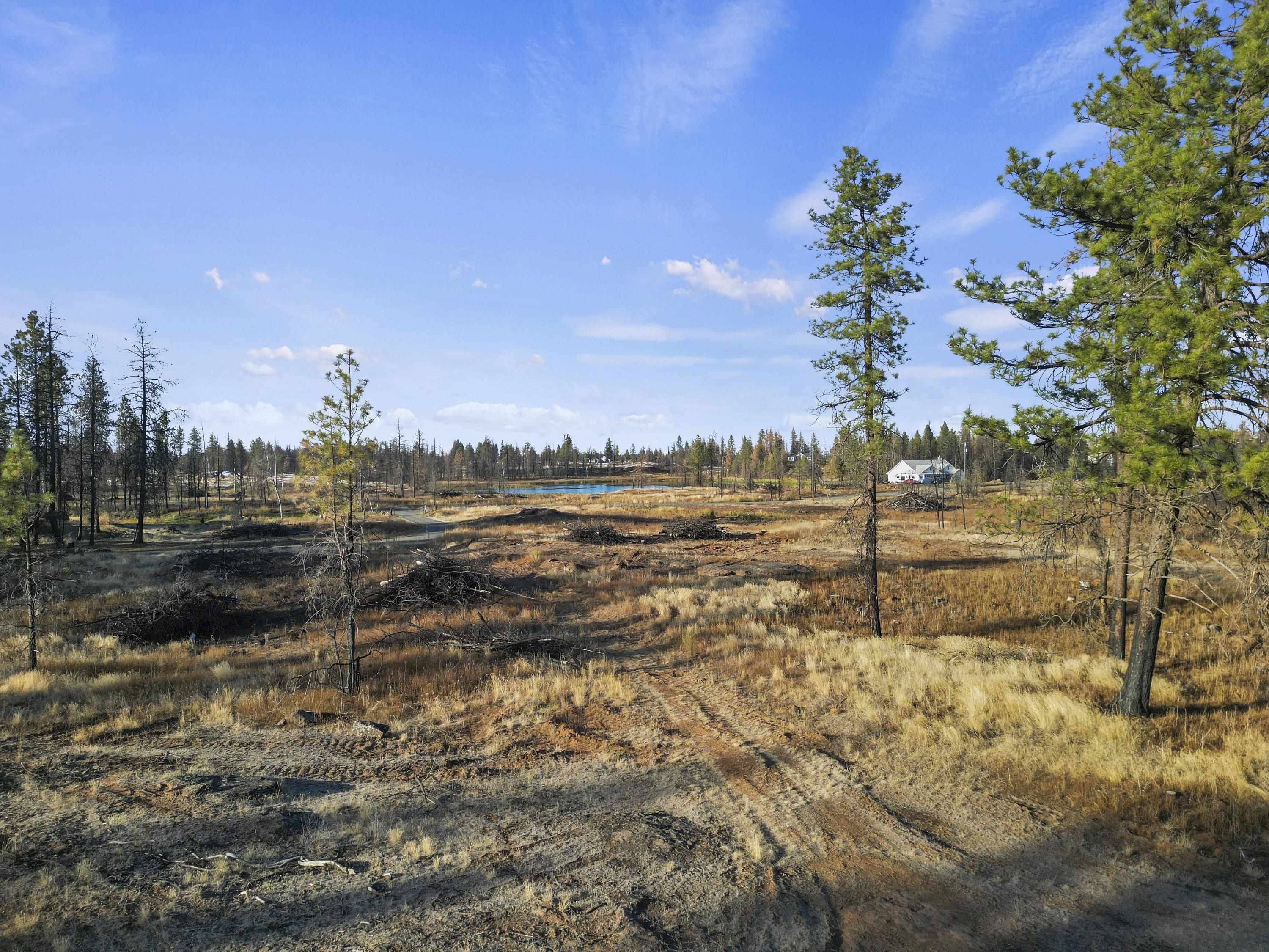 XXX W Page Pond Ln, Medical Lake, WA 99022