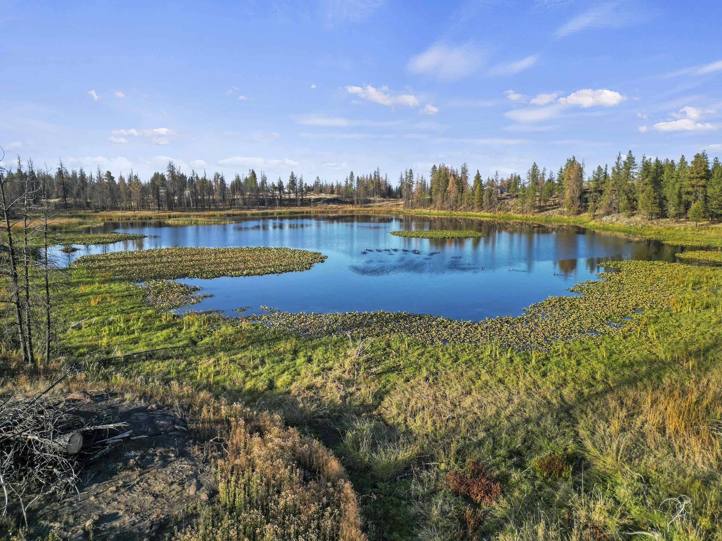 XXX W Page Pond Ln, Medical Lake, WA 99022