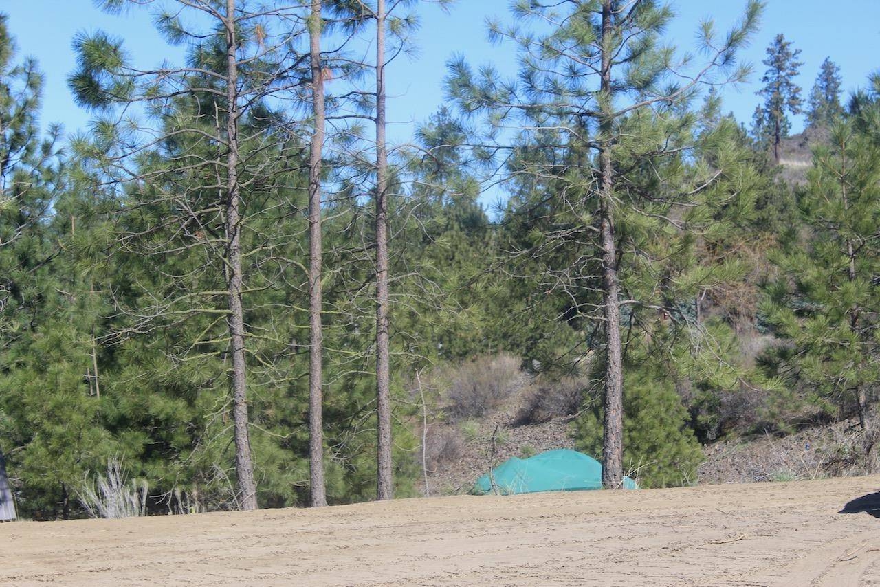 39555 N Peach Orchard WAY, Seven Bays, WA 99122