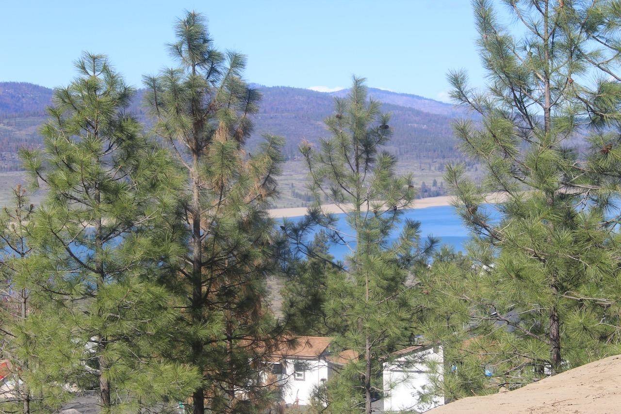 39555 N Peach Orchard WAY, Seven Bays, WA 99122