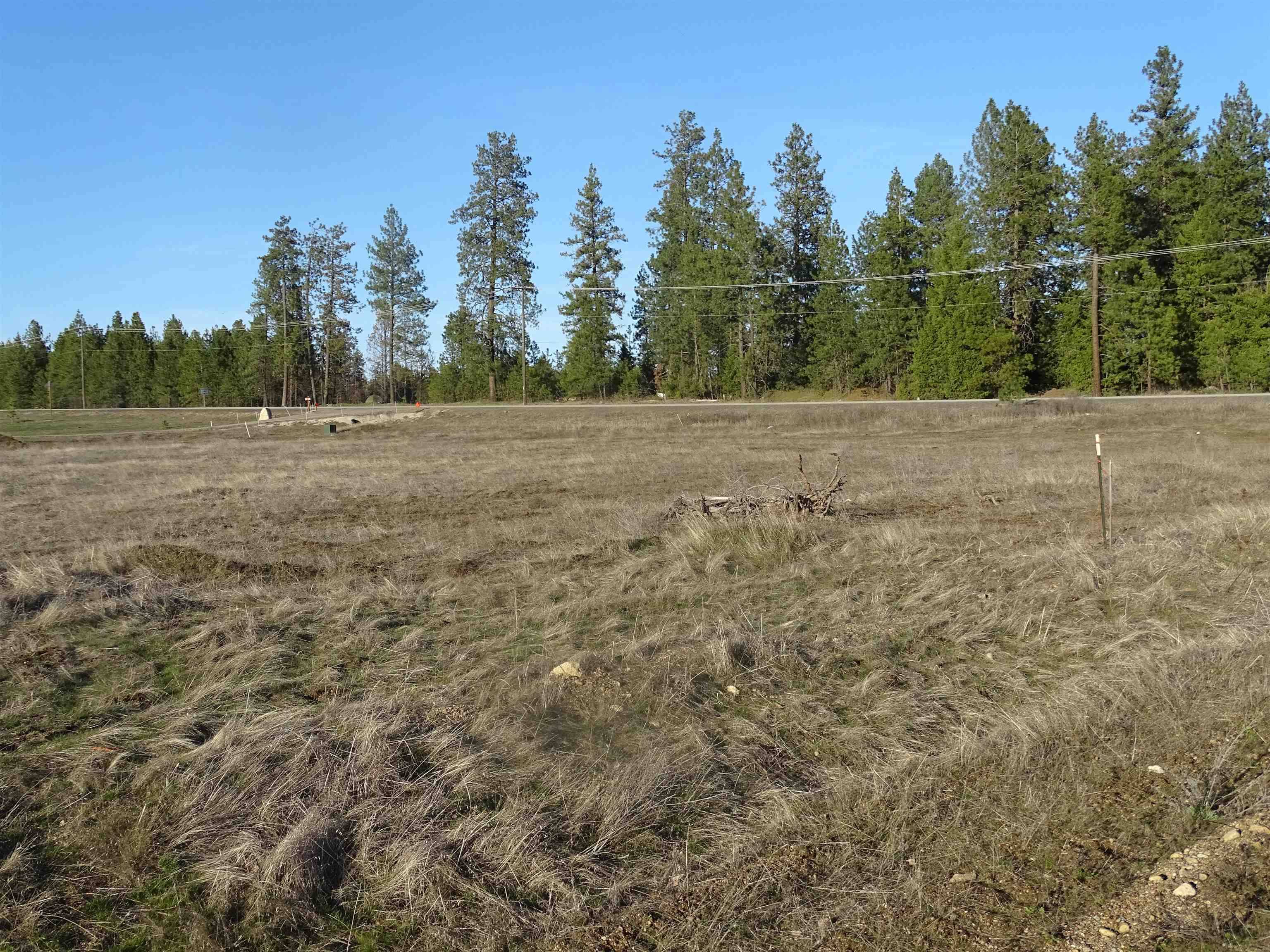 39xxx N Newport Hwy #Parcel#39151.9089, Elk, WA 99009