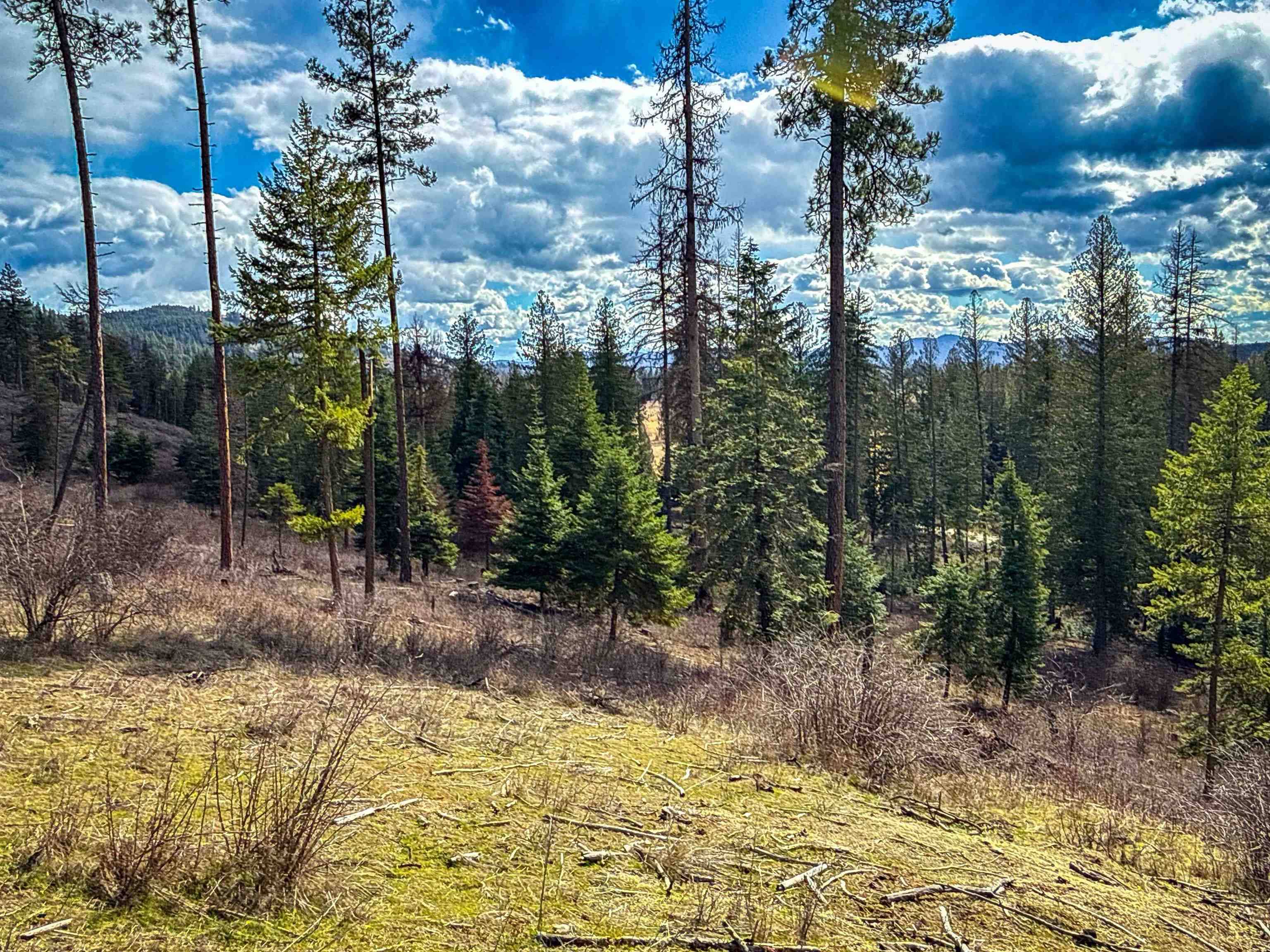 NKA Best Chance Rd, Usk, WA 99180