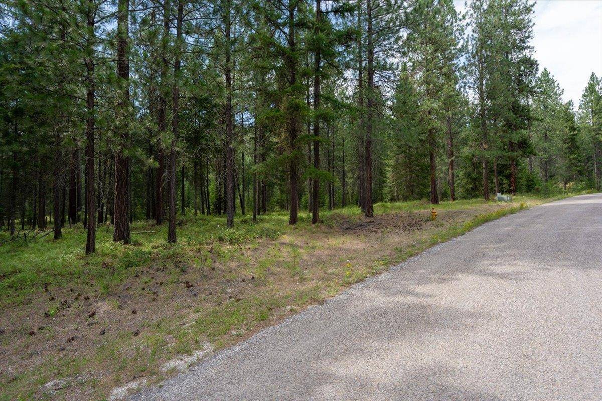 4XX Couples Pl, Chewelah, WA 99109