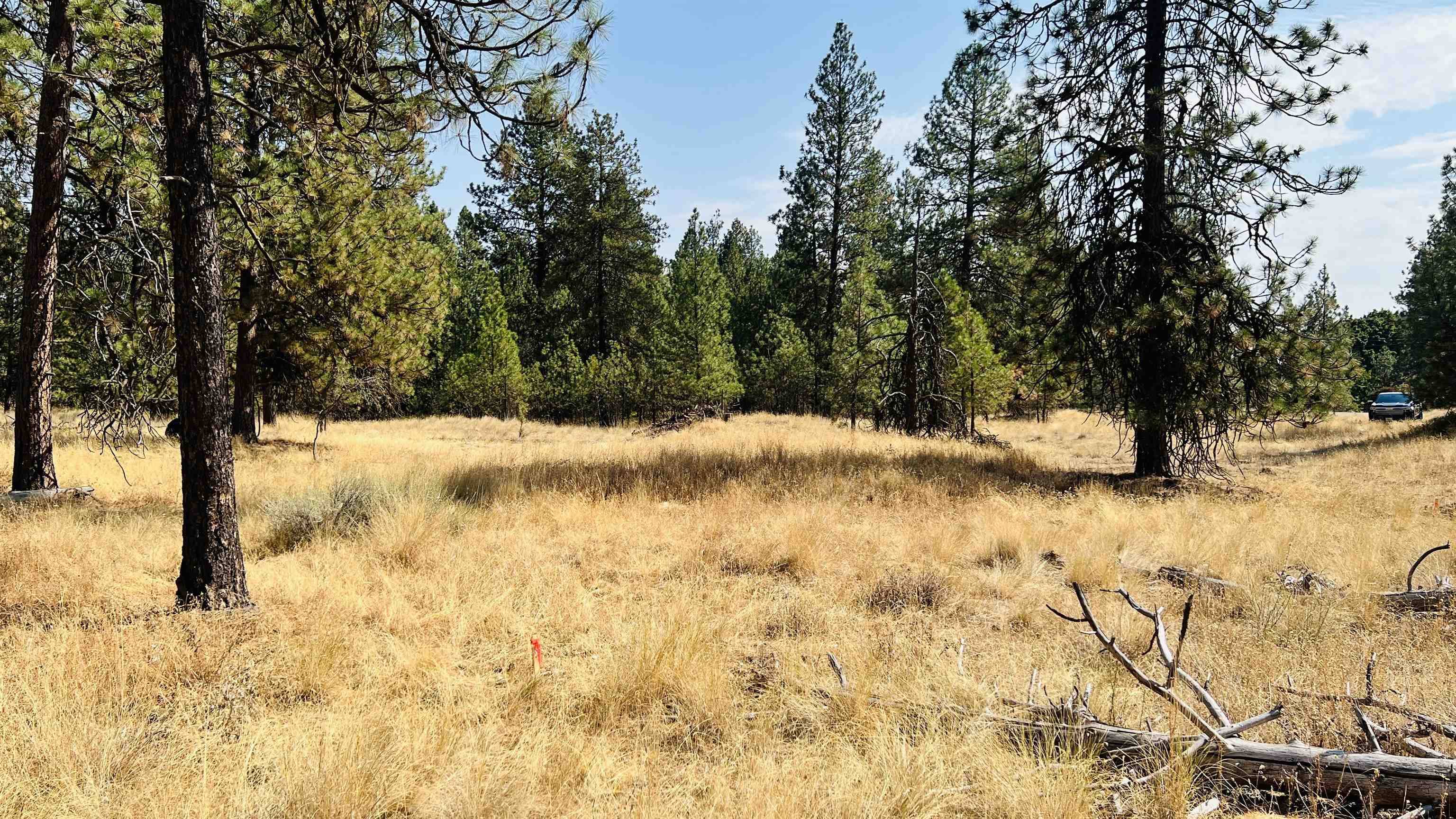xxx W Brooks Rd, Medical Lake, WA 99022