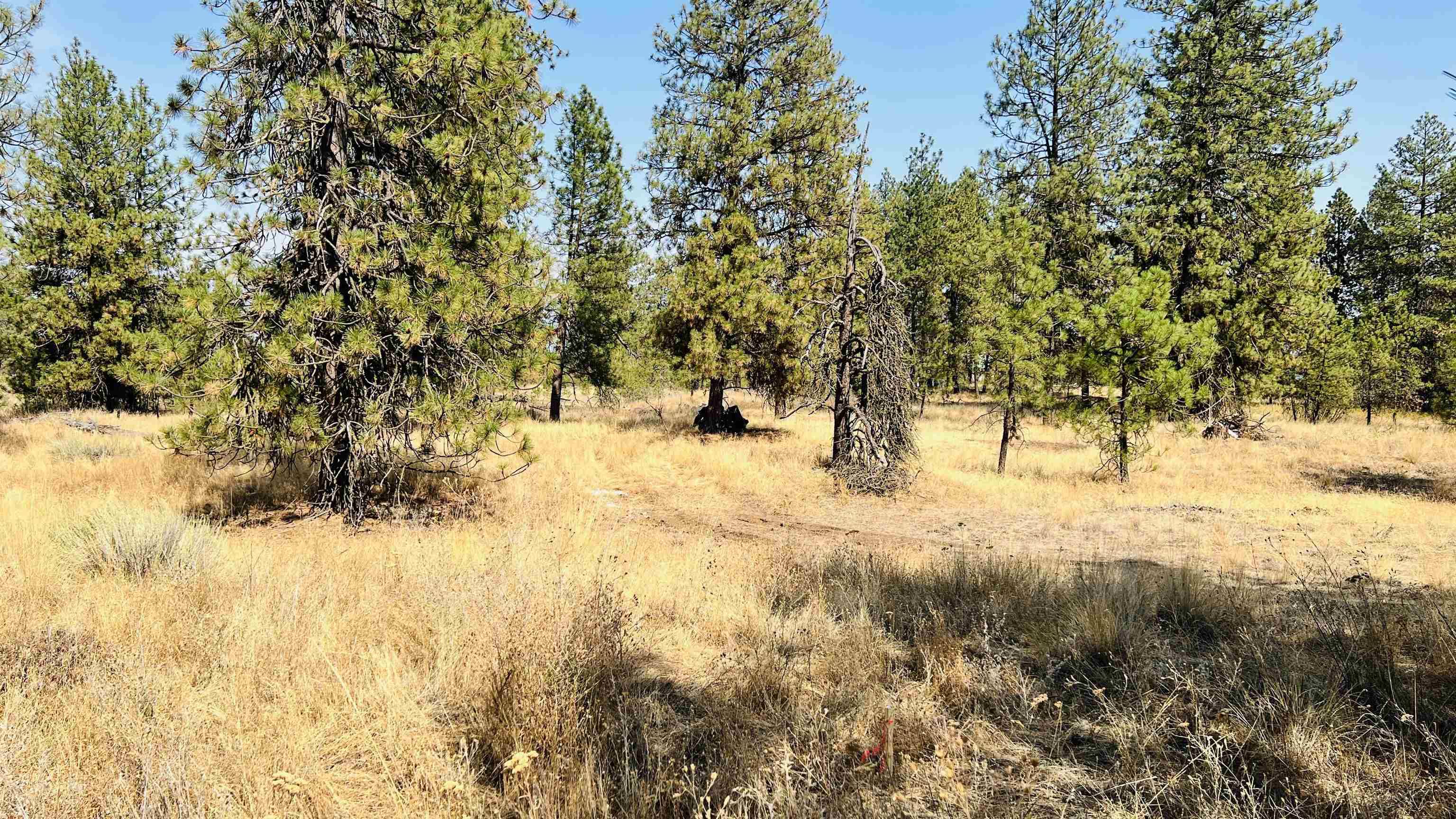xxx W Brooks Rd, Medical Lake, WA 99022