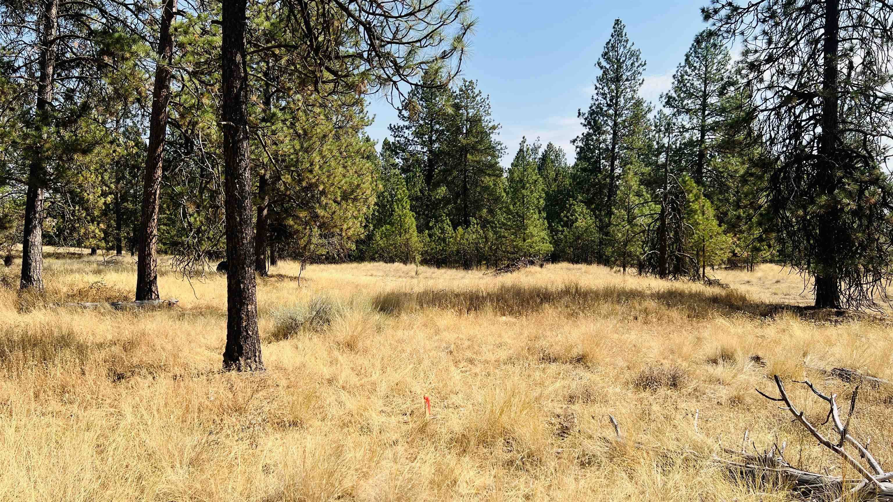 xxx W Brooks Rd, Medical Lake, WA 99022
