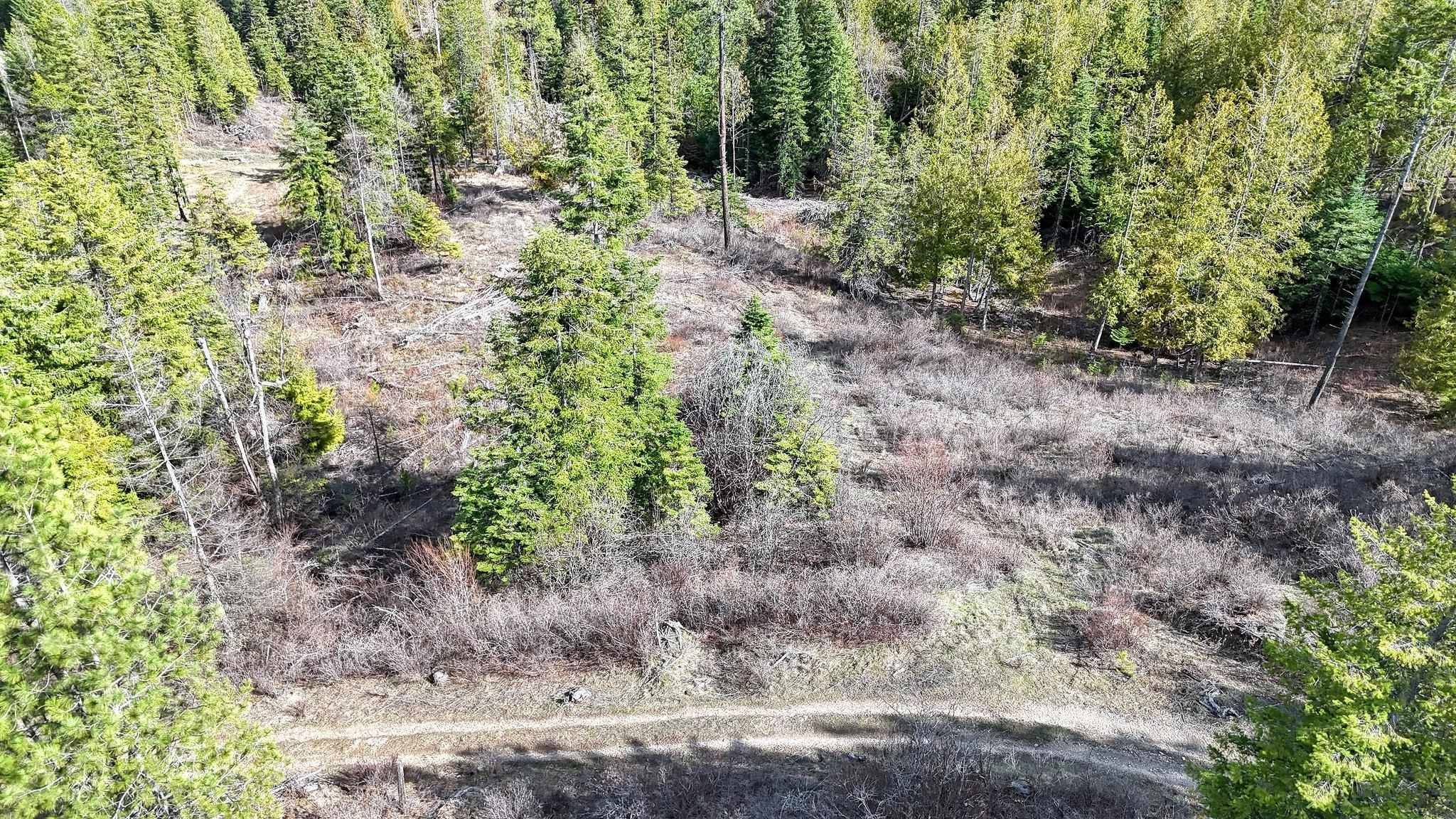 XXXX N. Cougar Ln, Newman Lake, WA 99025