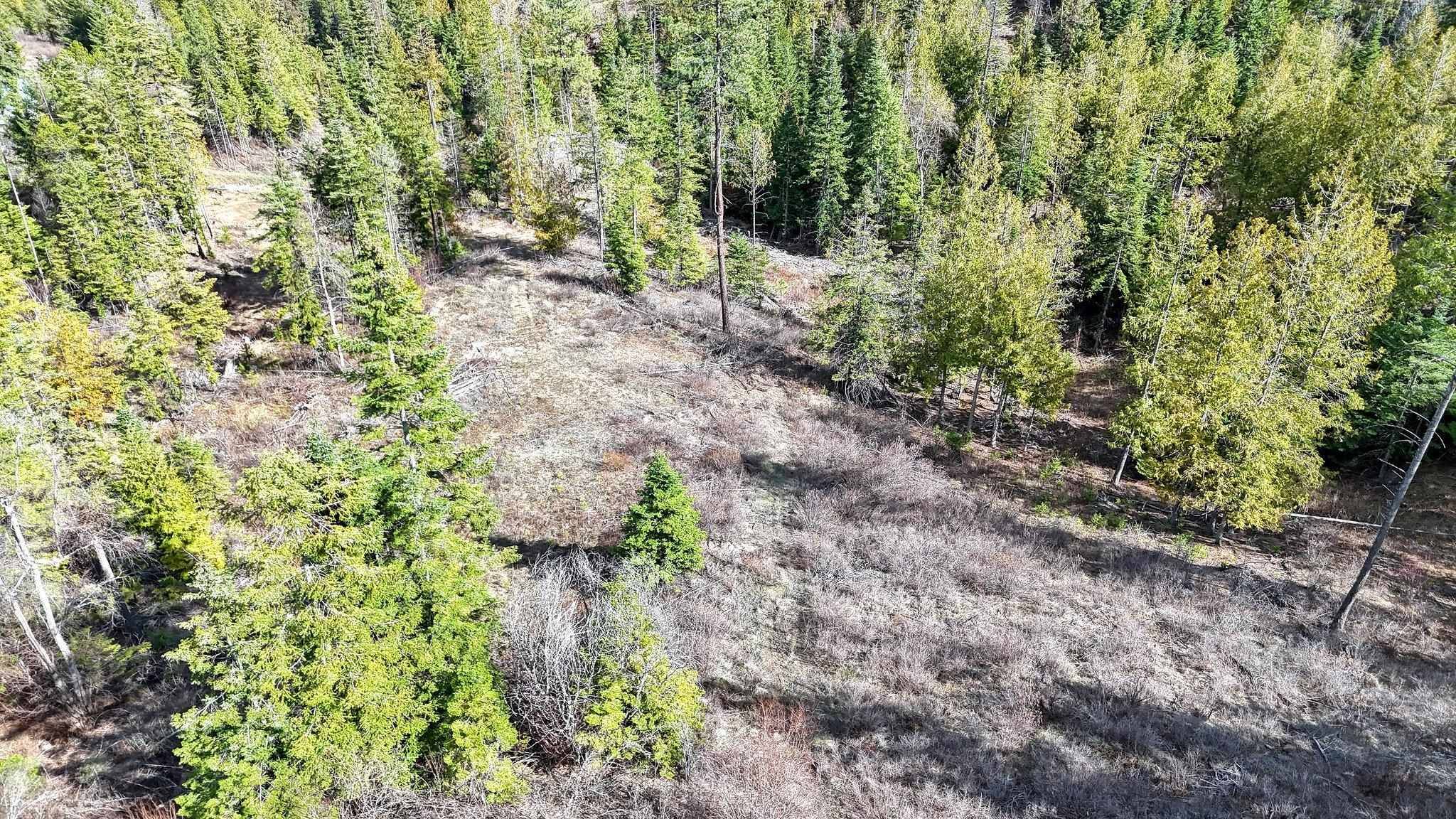 XXXX N. Cougar Ln, Newman Lake, WA 99025
