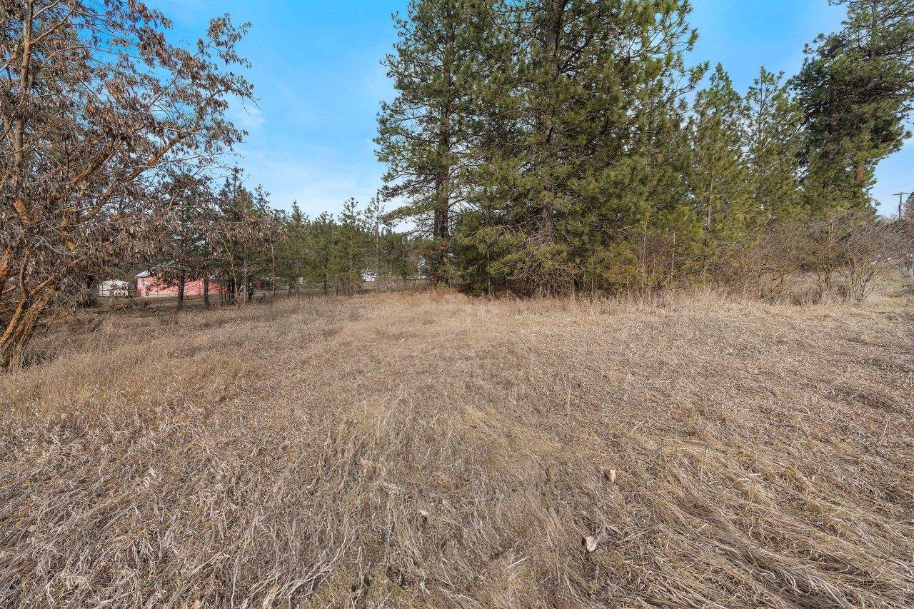 XXX N Boston Rd, Colbert, WA 99005
