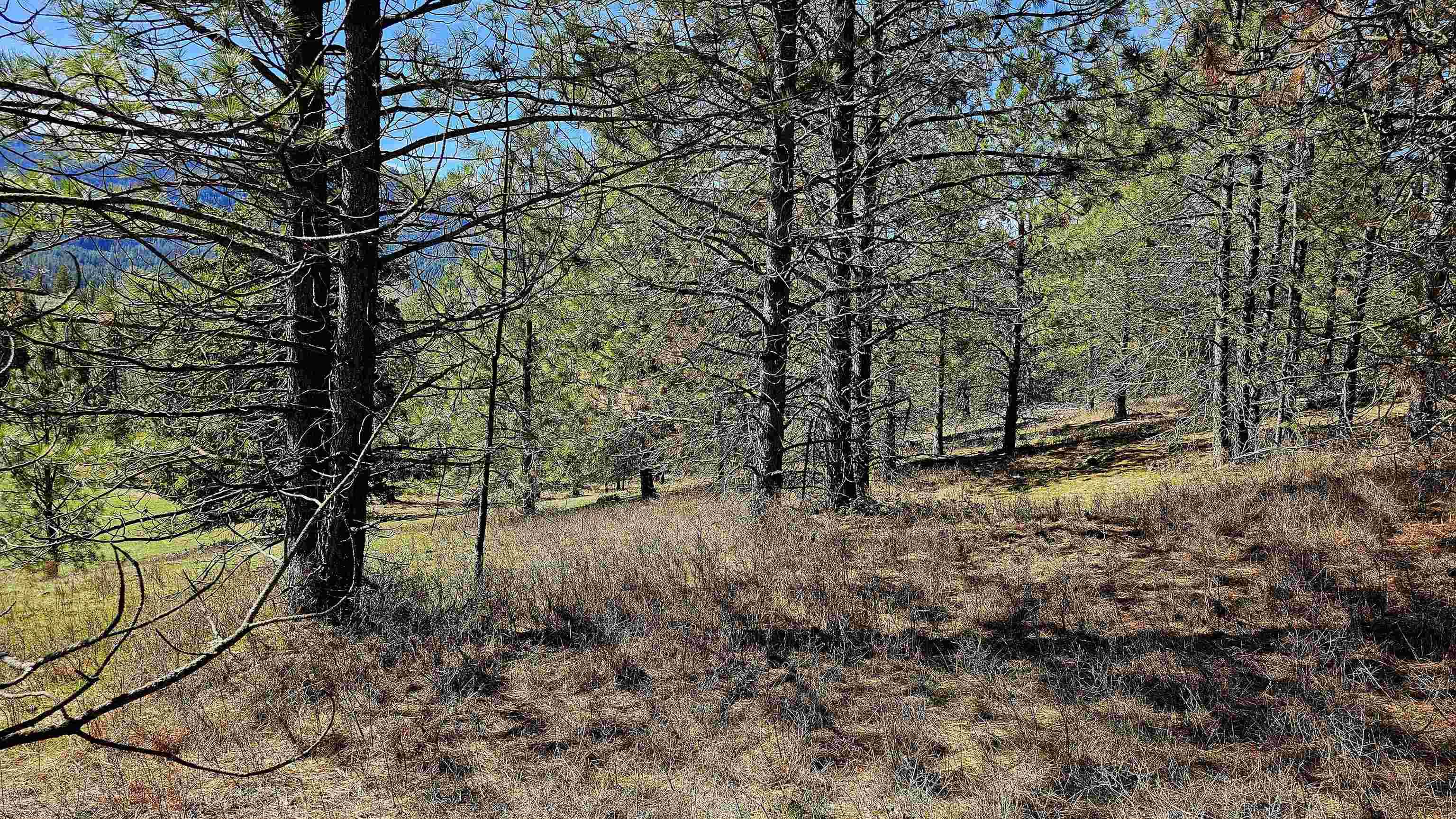 2068 Addy-Gifford Rd, Addy, WA 99101