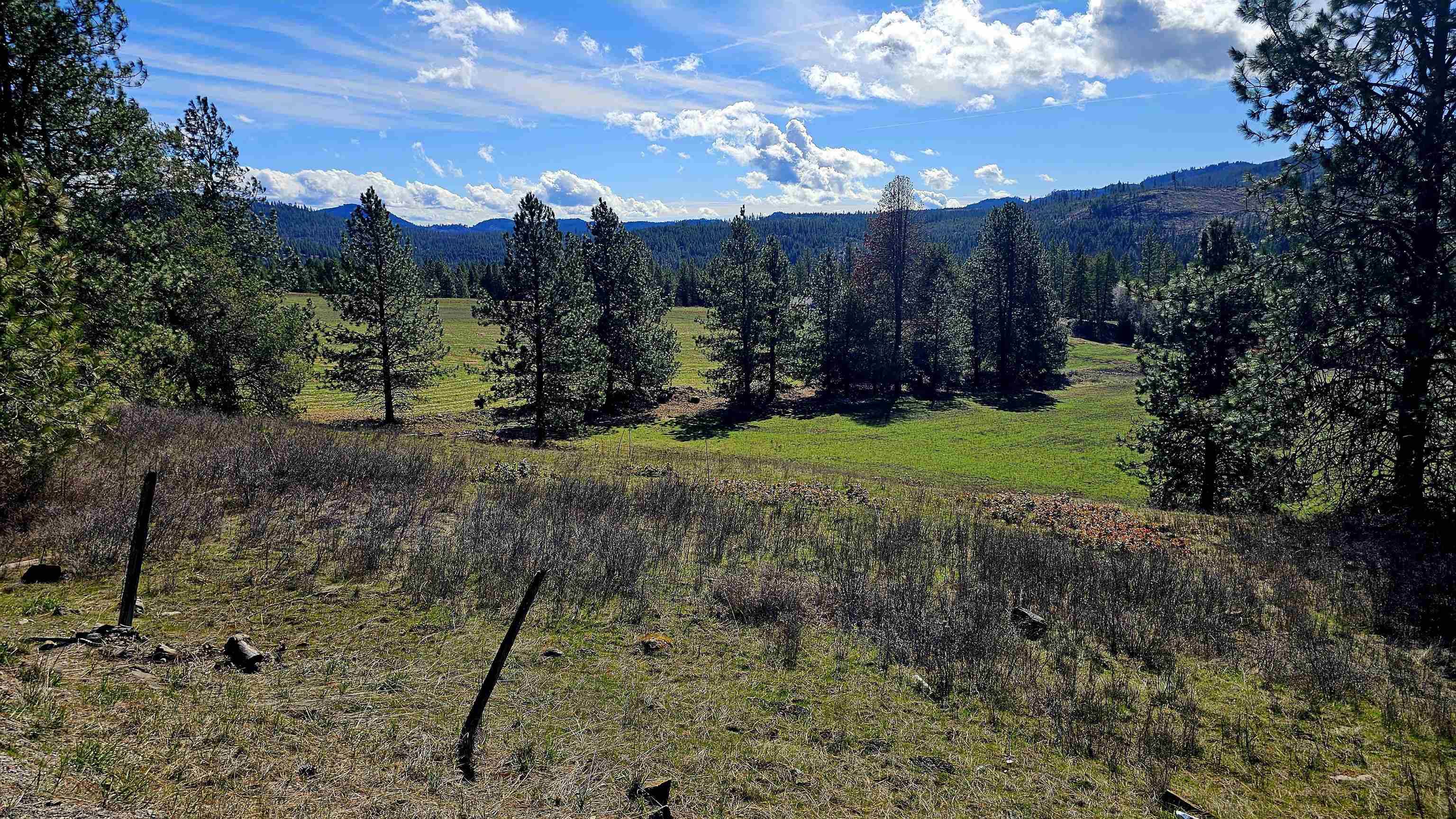 2068 Addy-Gifford Rd, Addy, WA 99101
