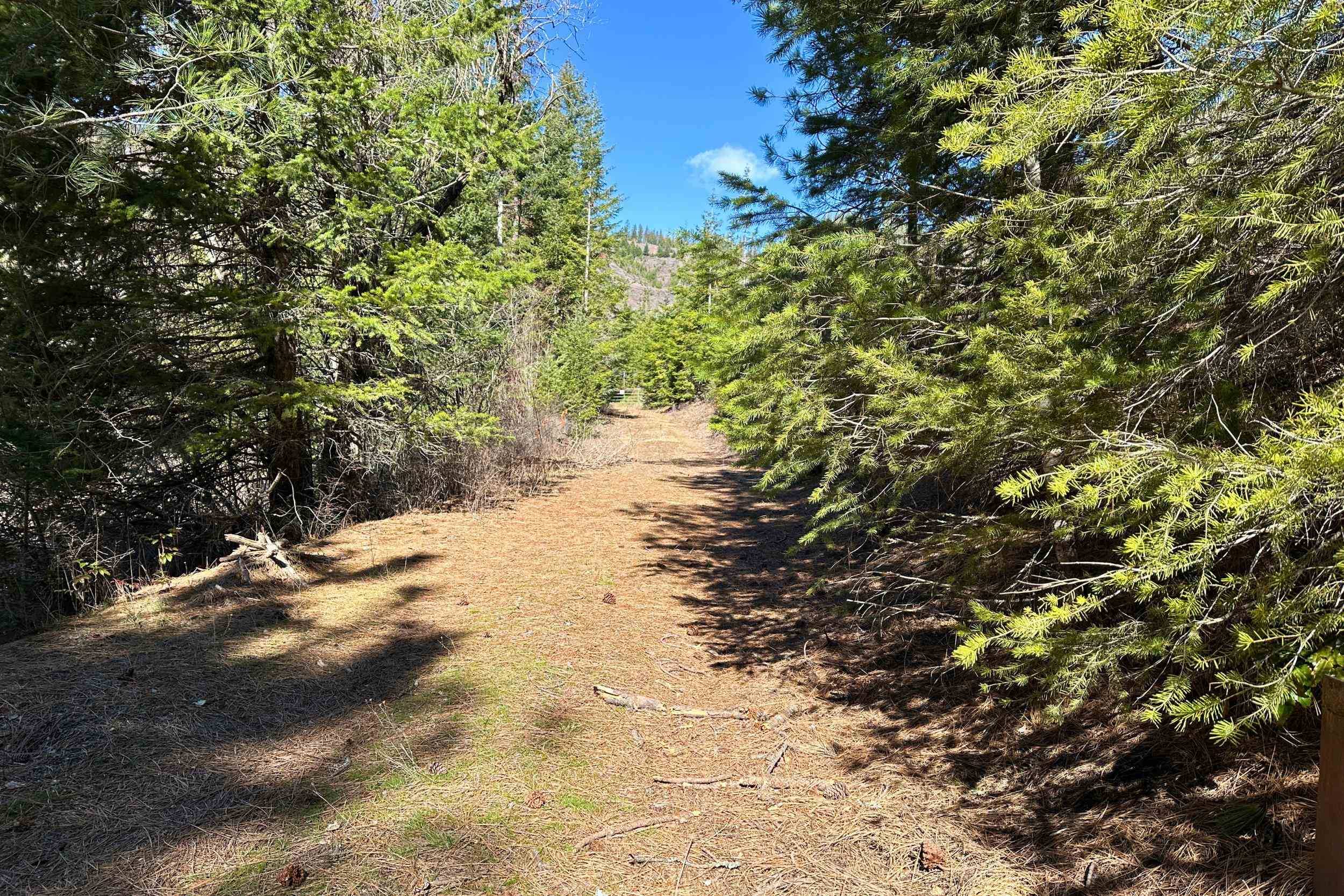 4143 North Deer Lake Rd, Loon Lake, WA 99148