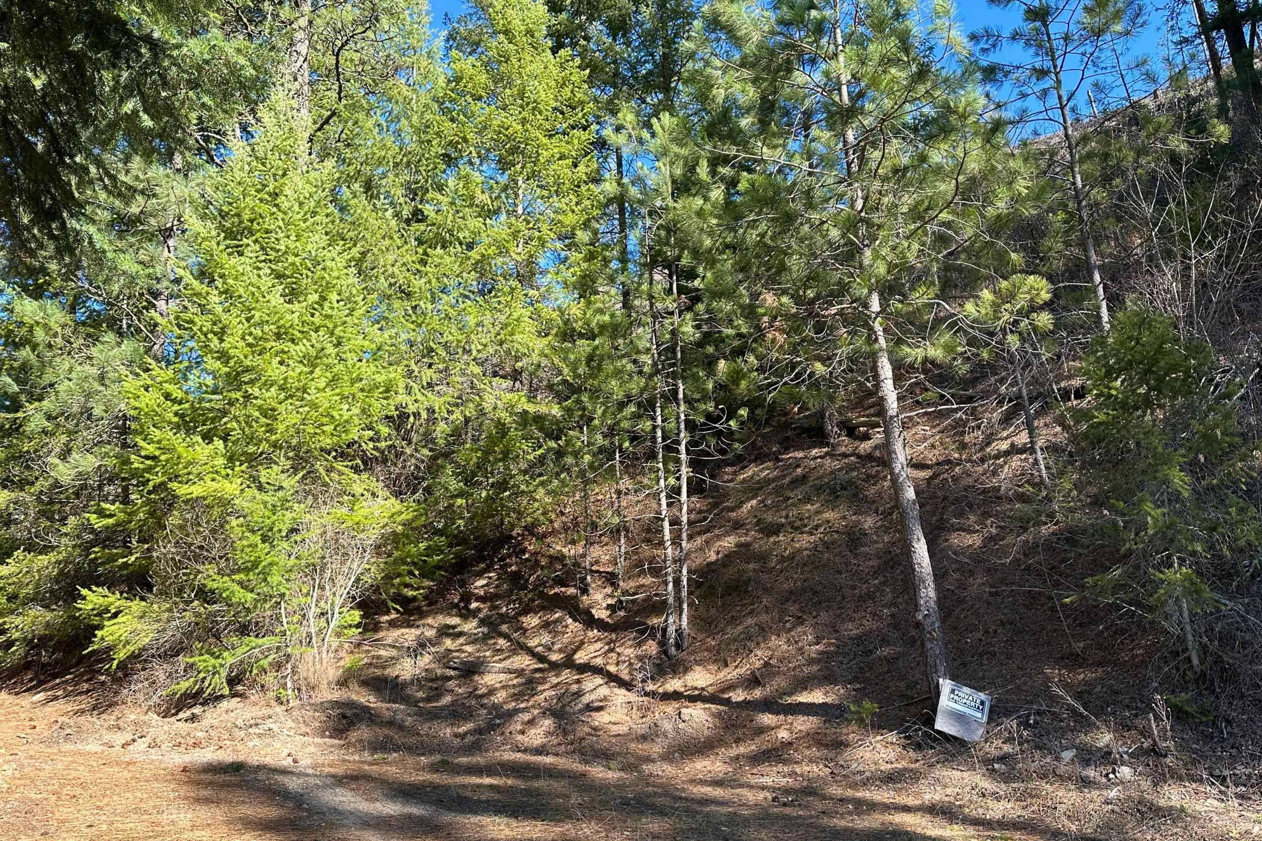 4143 North Deer Lake Rd, Loon Lake, WA 99148