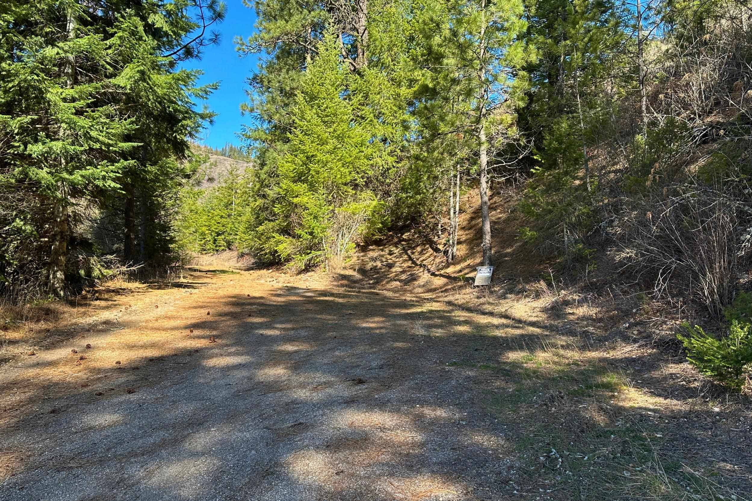 4143 North Deer Lake Rd, Loon Lake, WA 99148