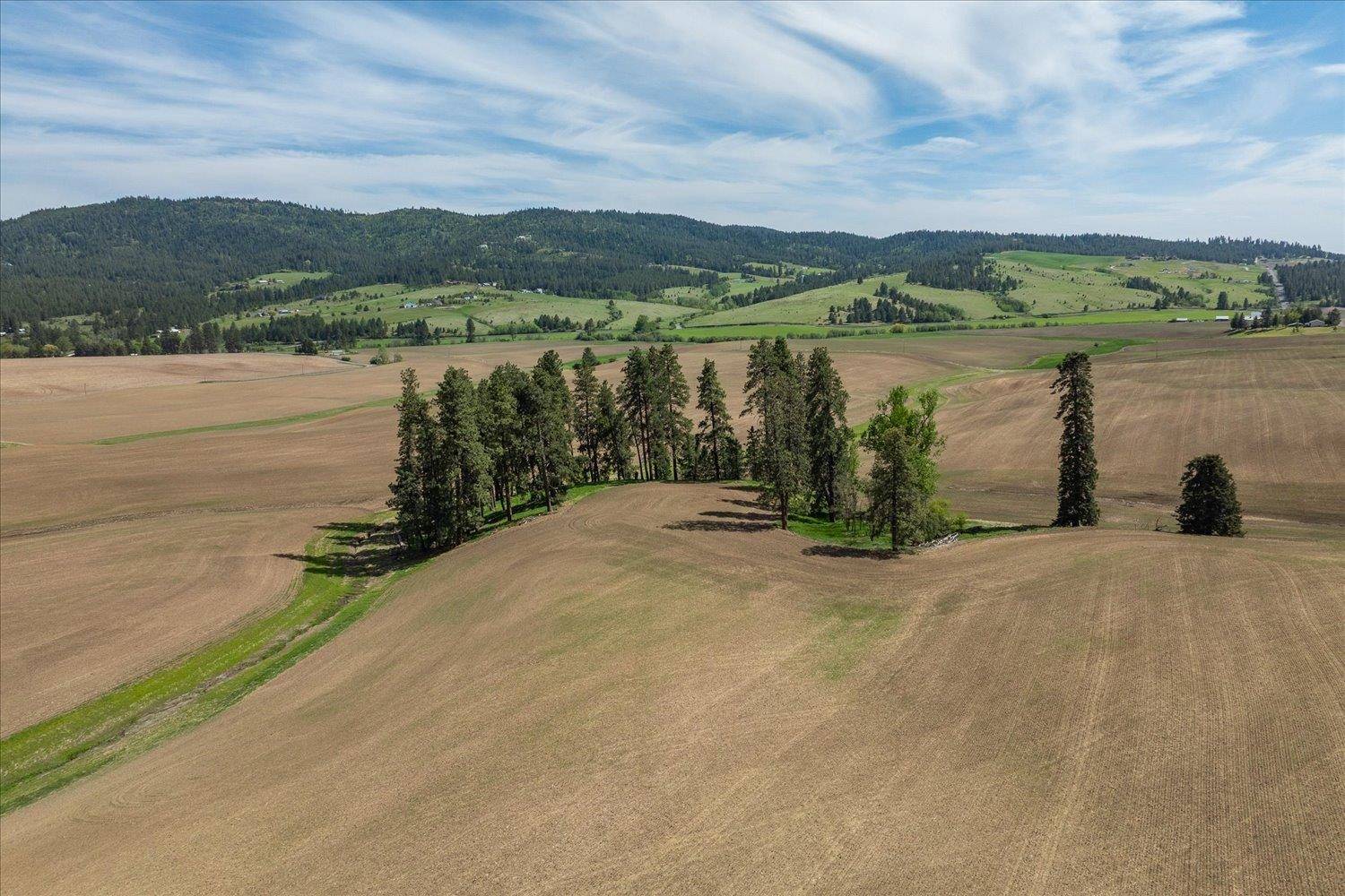 00XXX S Jackson Rd, Lot 23, Mica, WA 99224
