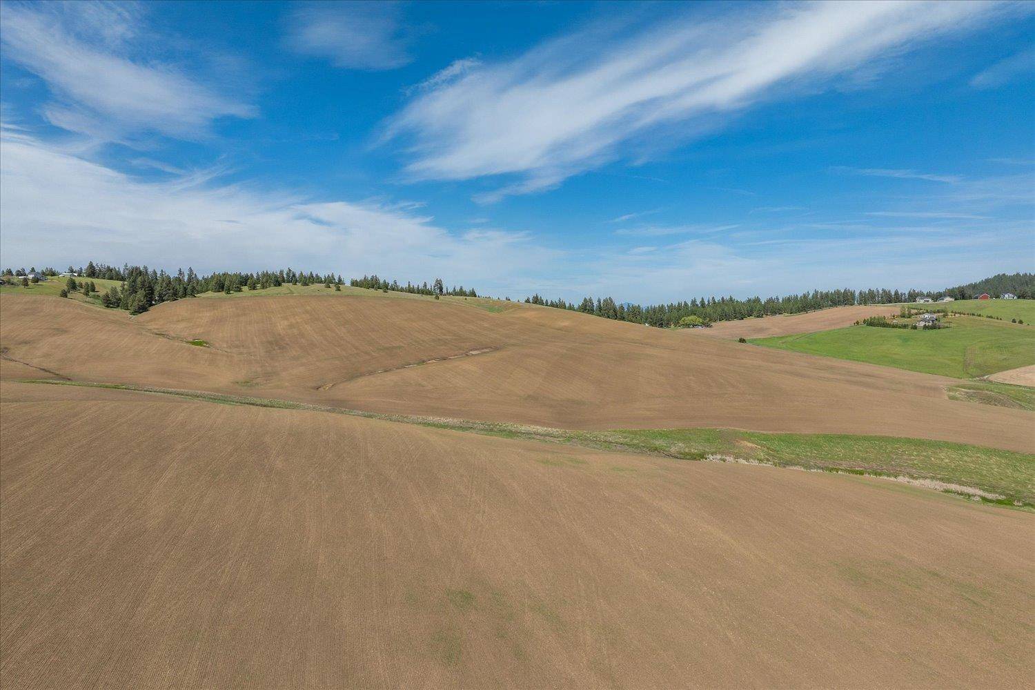 00XXX S Jackson Rd, Lot 23, Mica, WA 99224